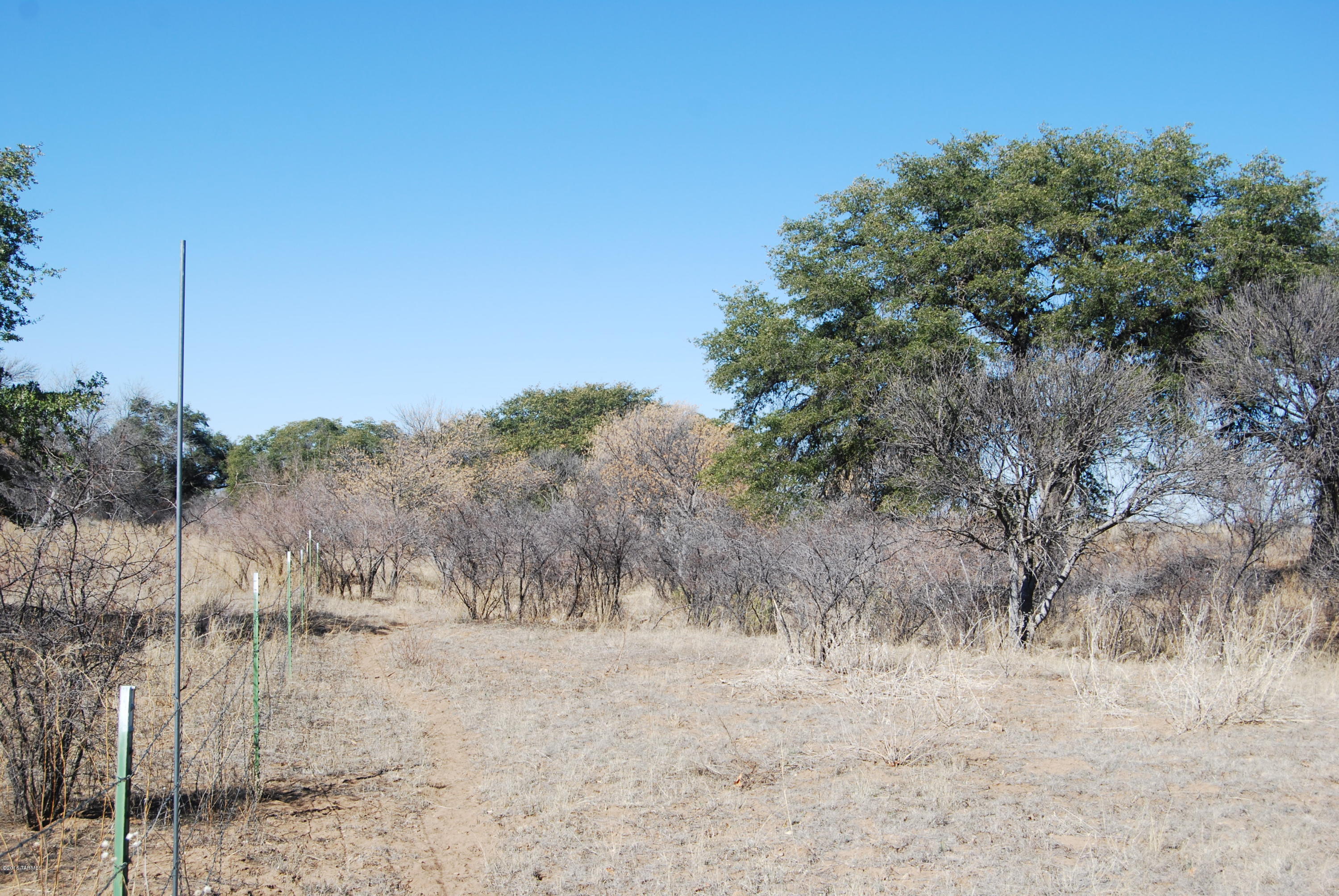 Turkey Creek Ranch - Land
