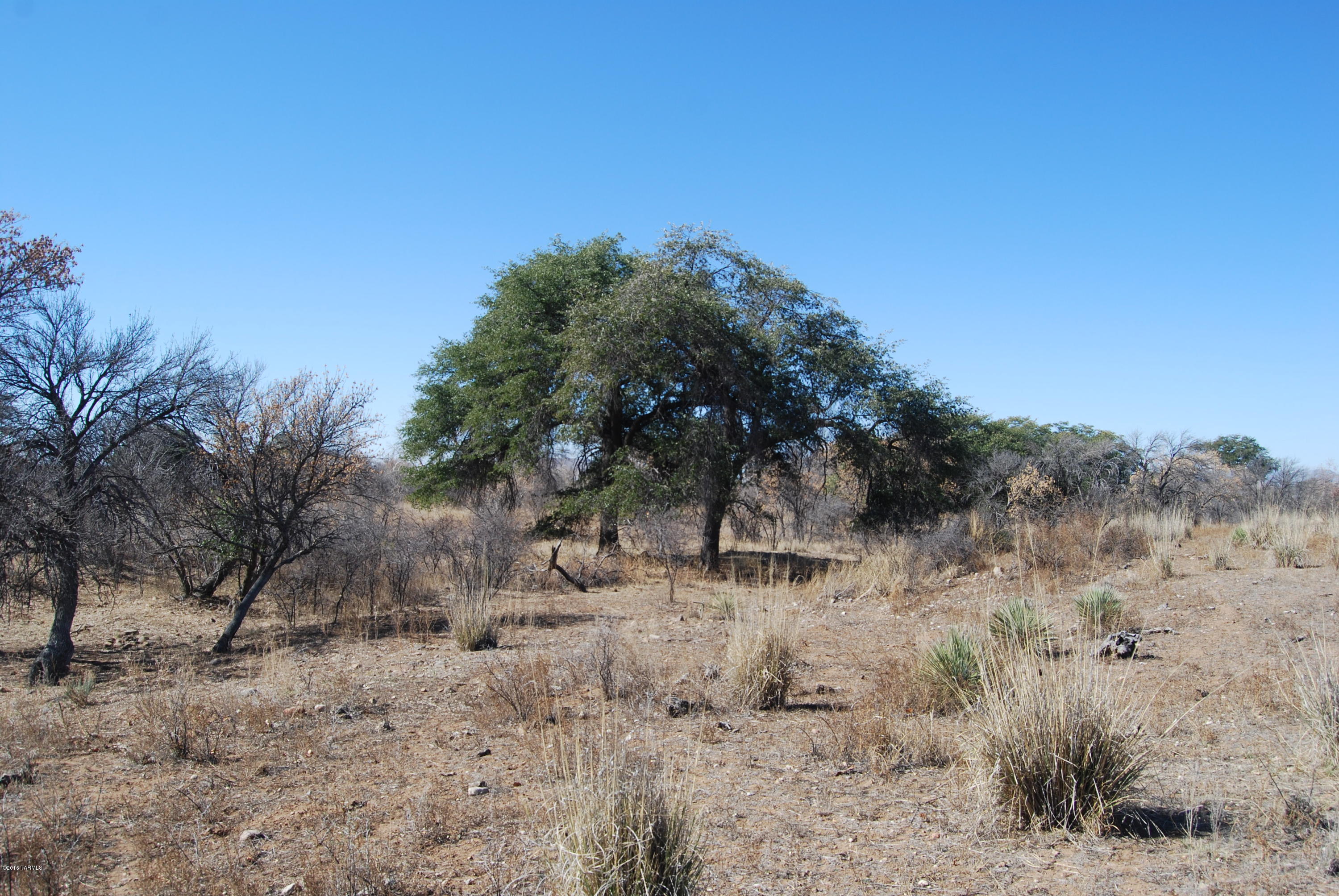 Turkey Creek Ranch - Land