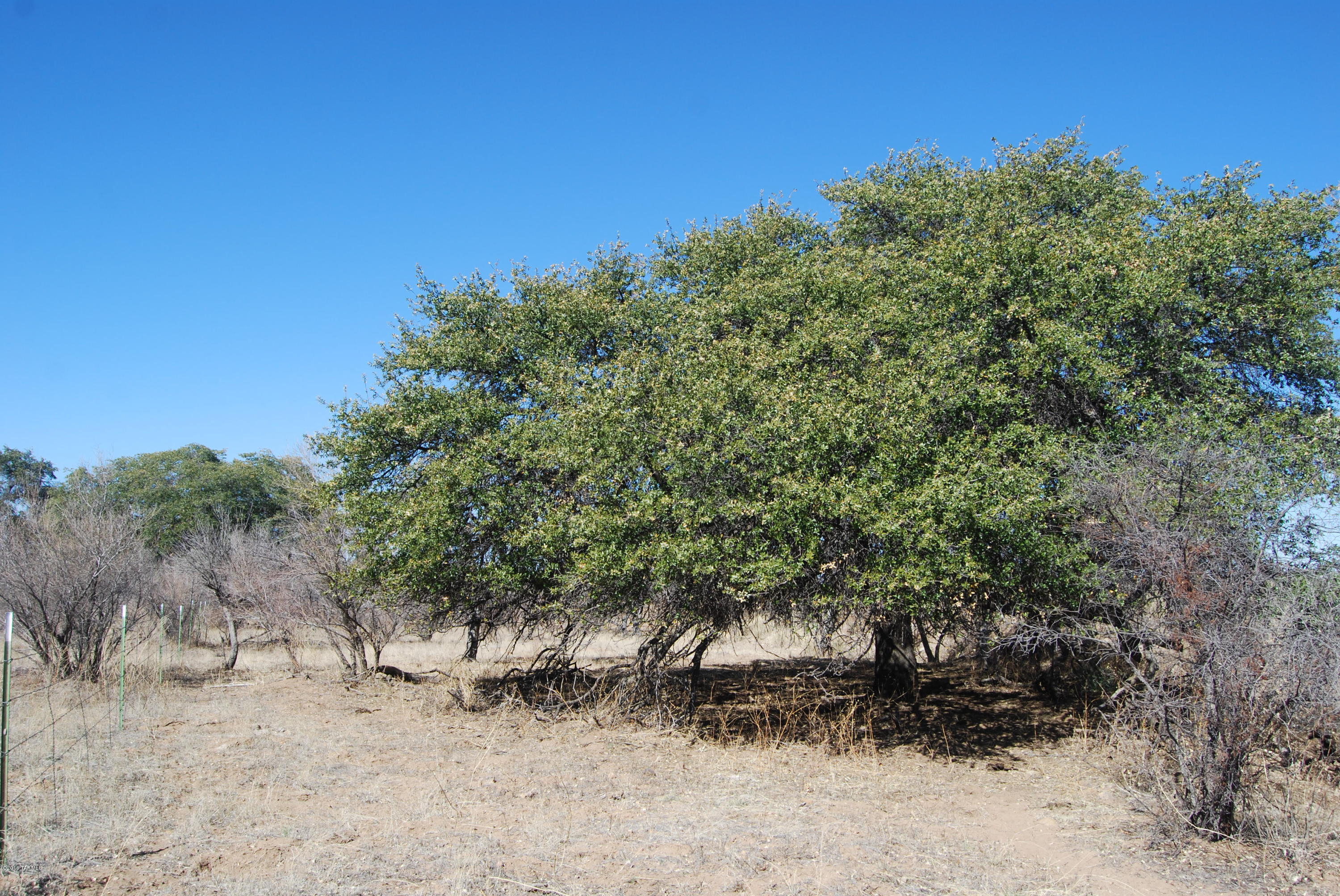 Turkey Creek Ranch - Land