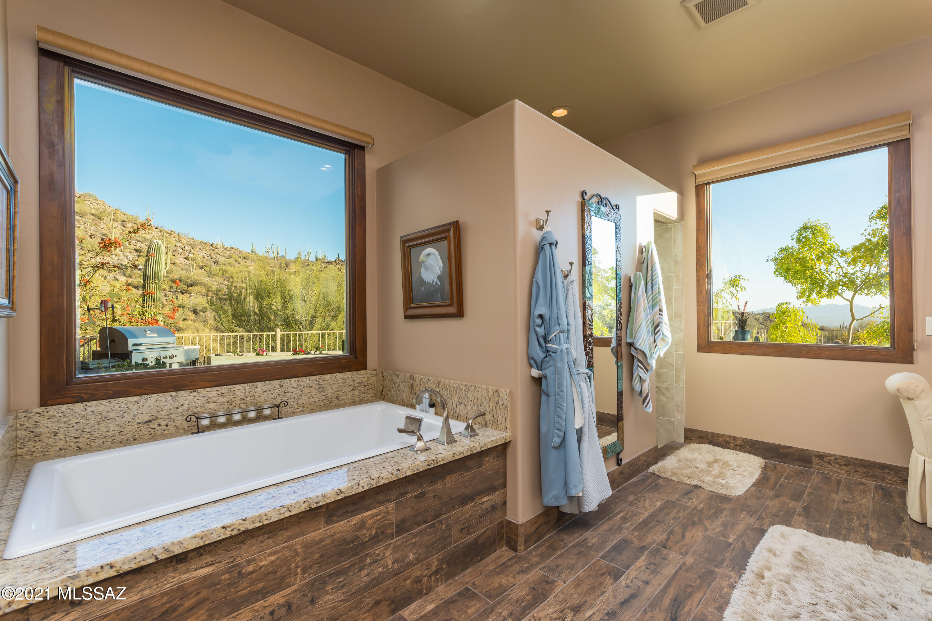 Canyon Pass At Dove Mountain - Residential