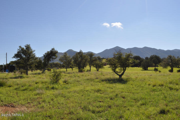Out Of Pima County - Land