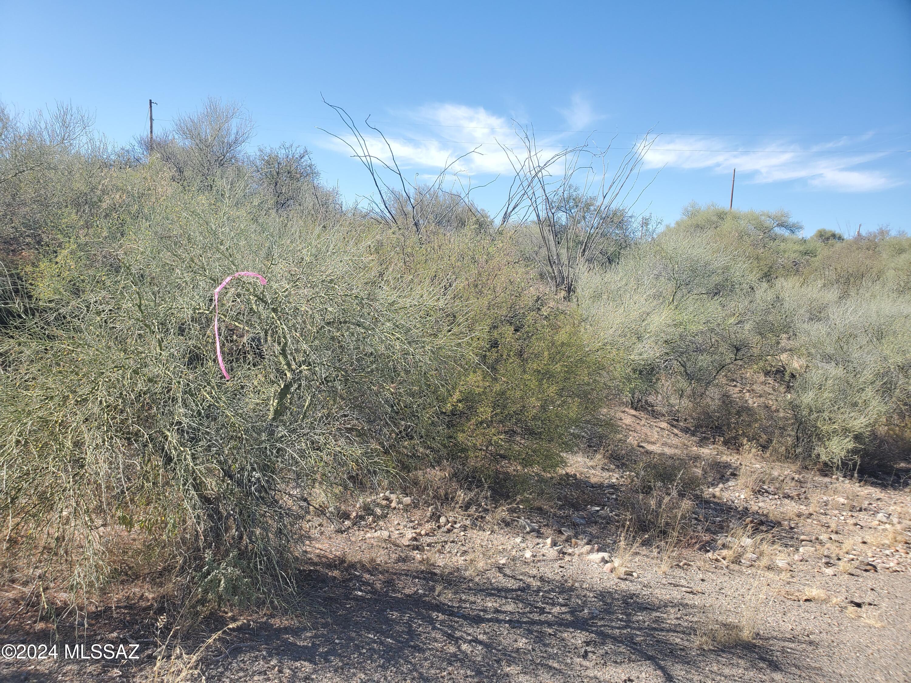 Rio Rico Villas 10 - Land