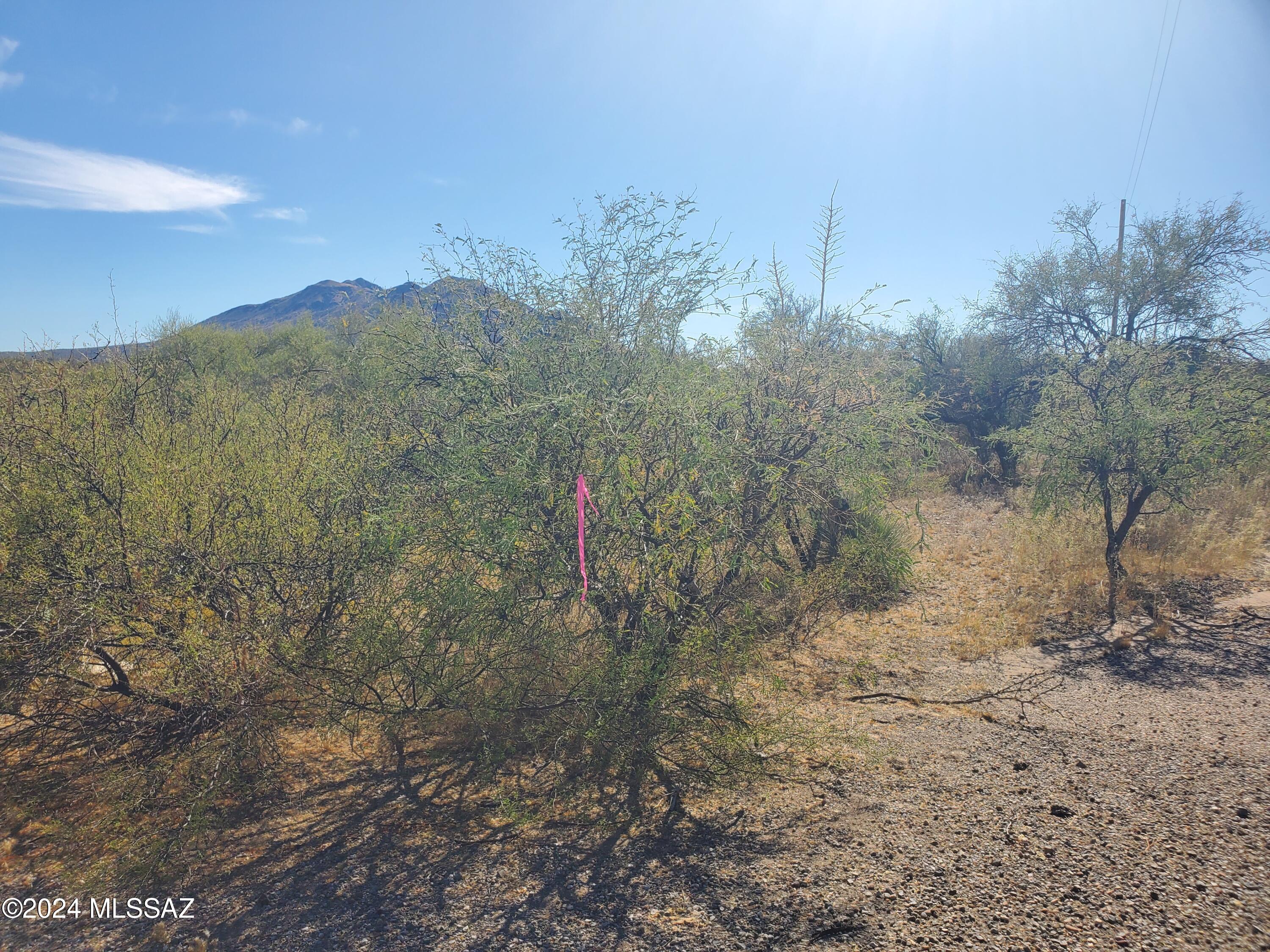 Rio Rico Villas 10 - Land