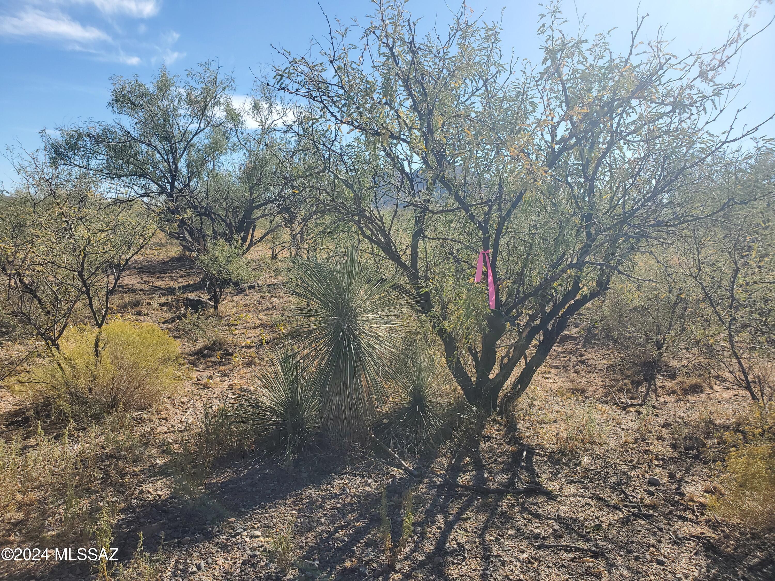 Rio Rico Villas 10 - Land