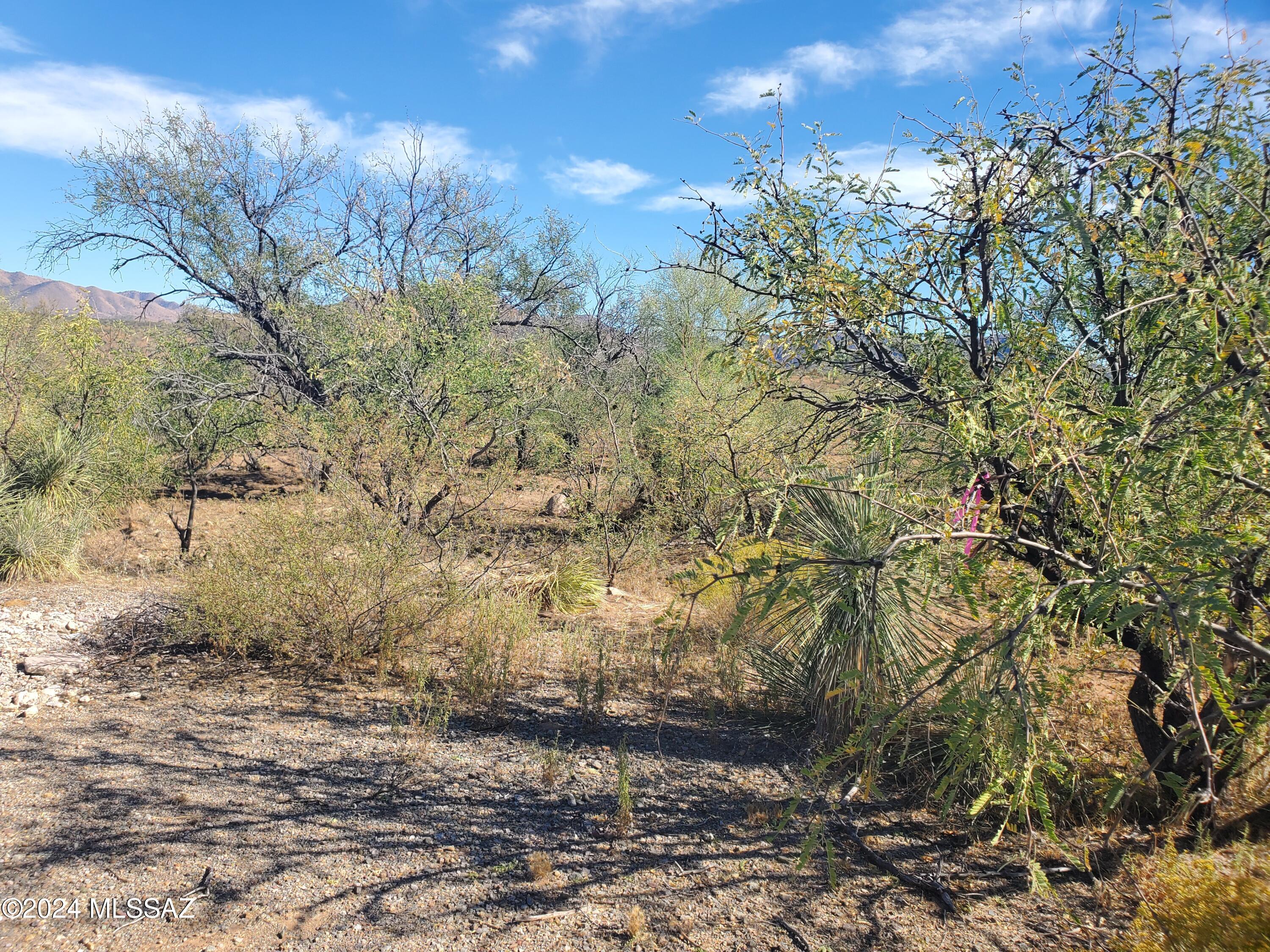Rio Rico Villas 10 - Land