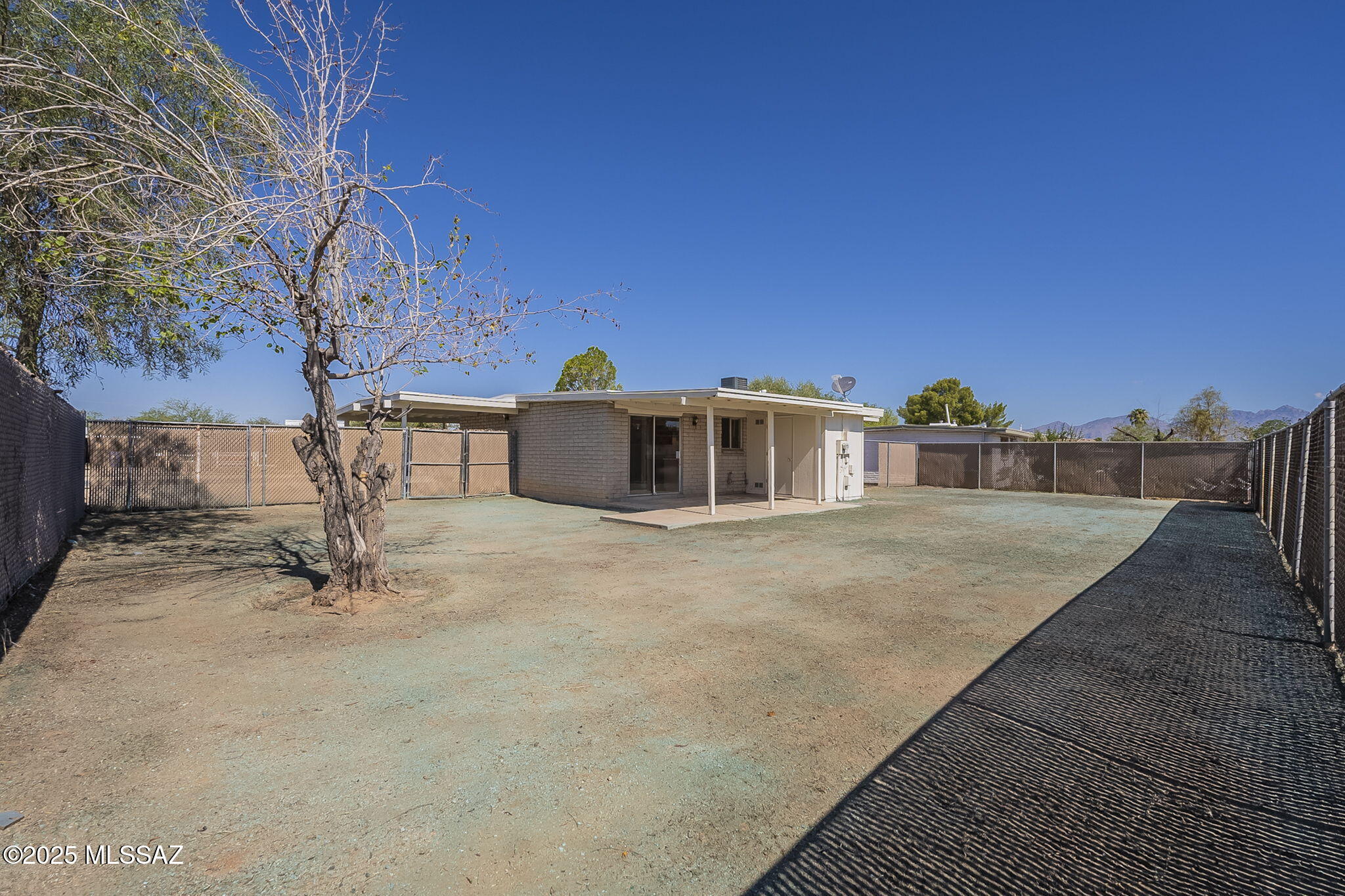 Olive Grove (396-595) - Residential Lease