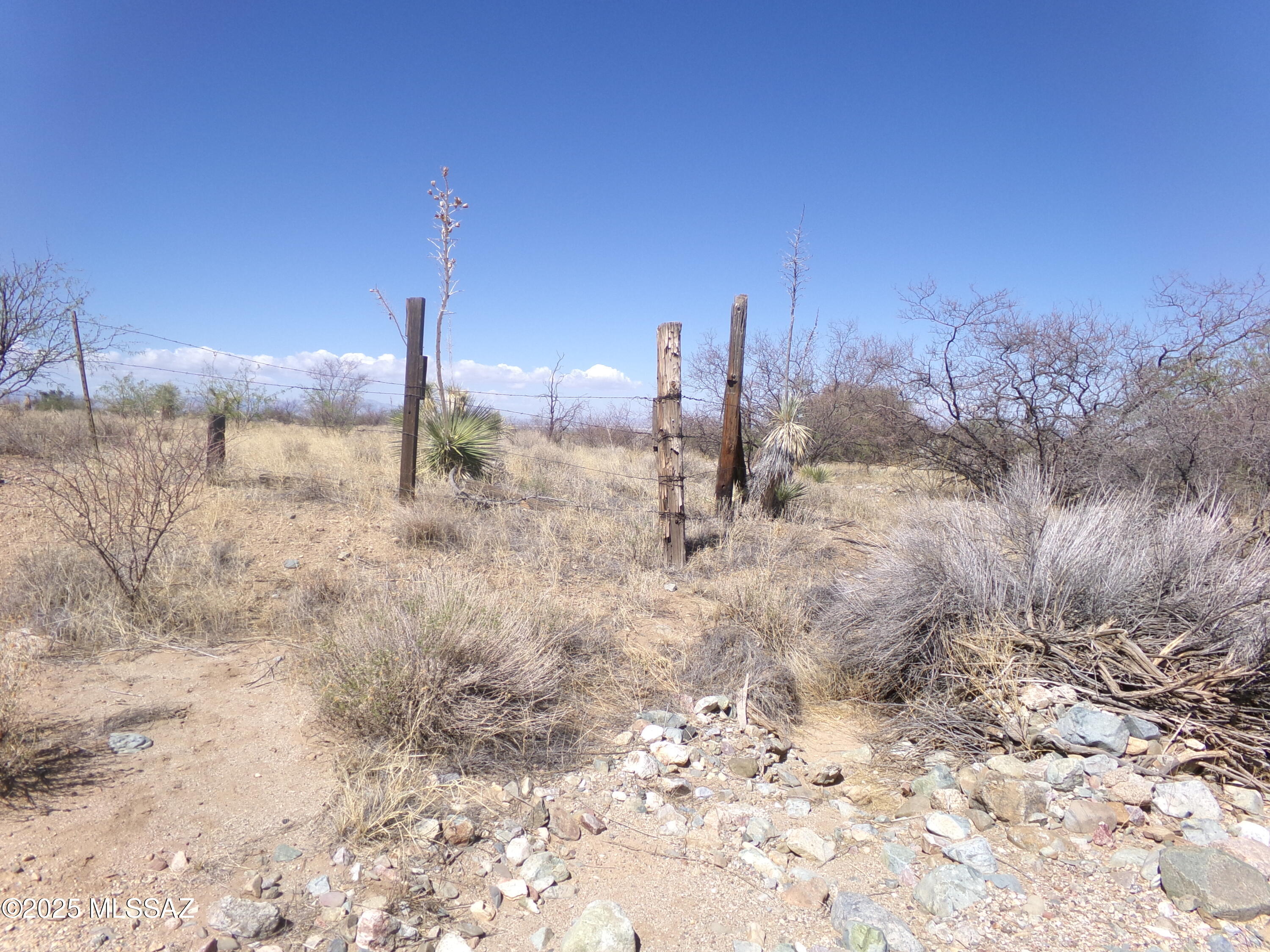 Chiracahua Trail Ranches - Land