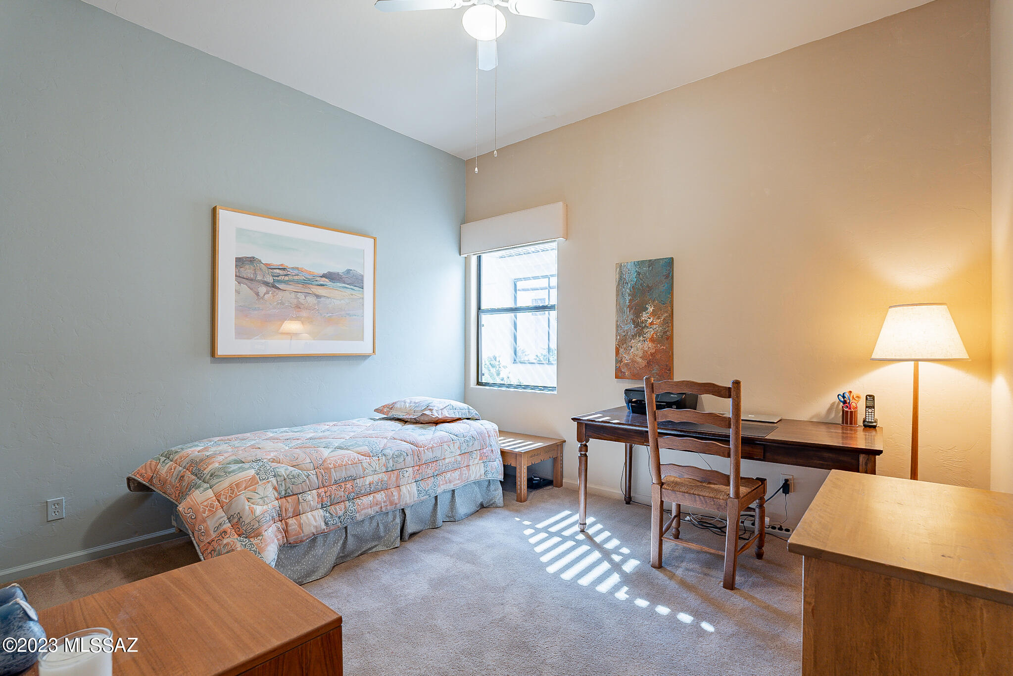 Sabino Mountain (1-290) - Residential