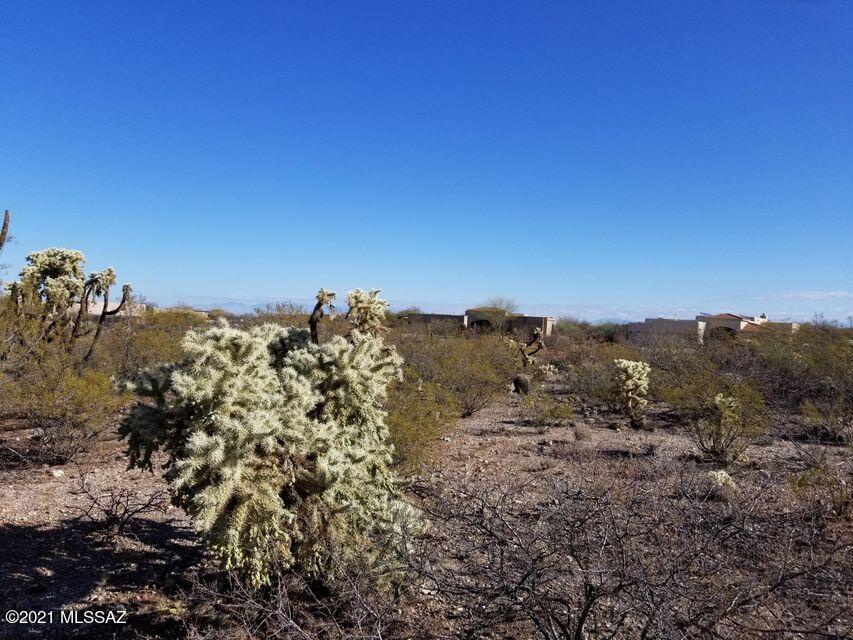 Madera Reserve Phase II (131-263) - Land