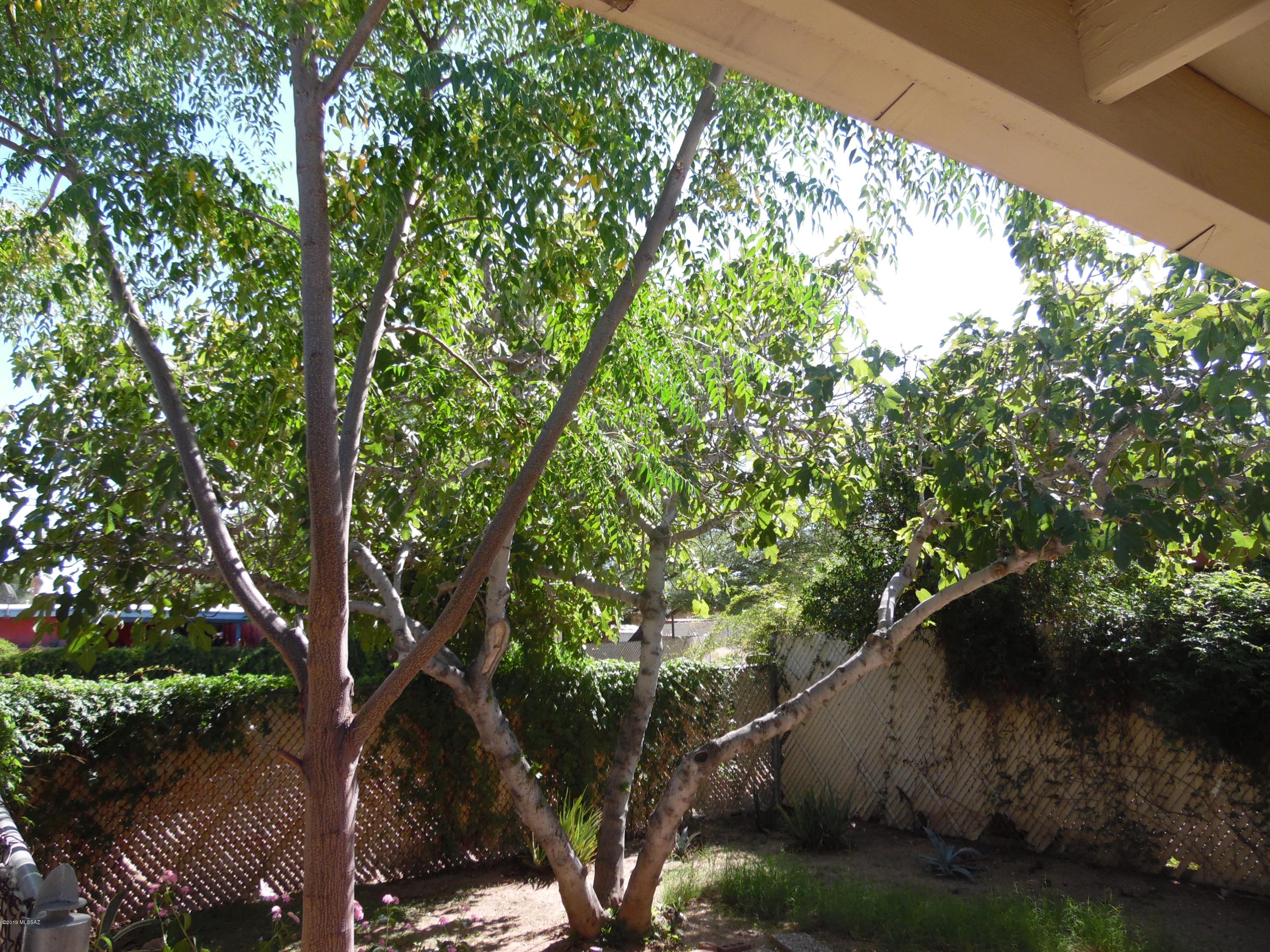 Palm Grove Clusters Resub (16-185) - Residential Lease