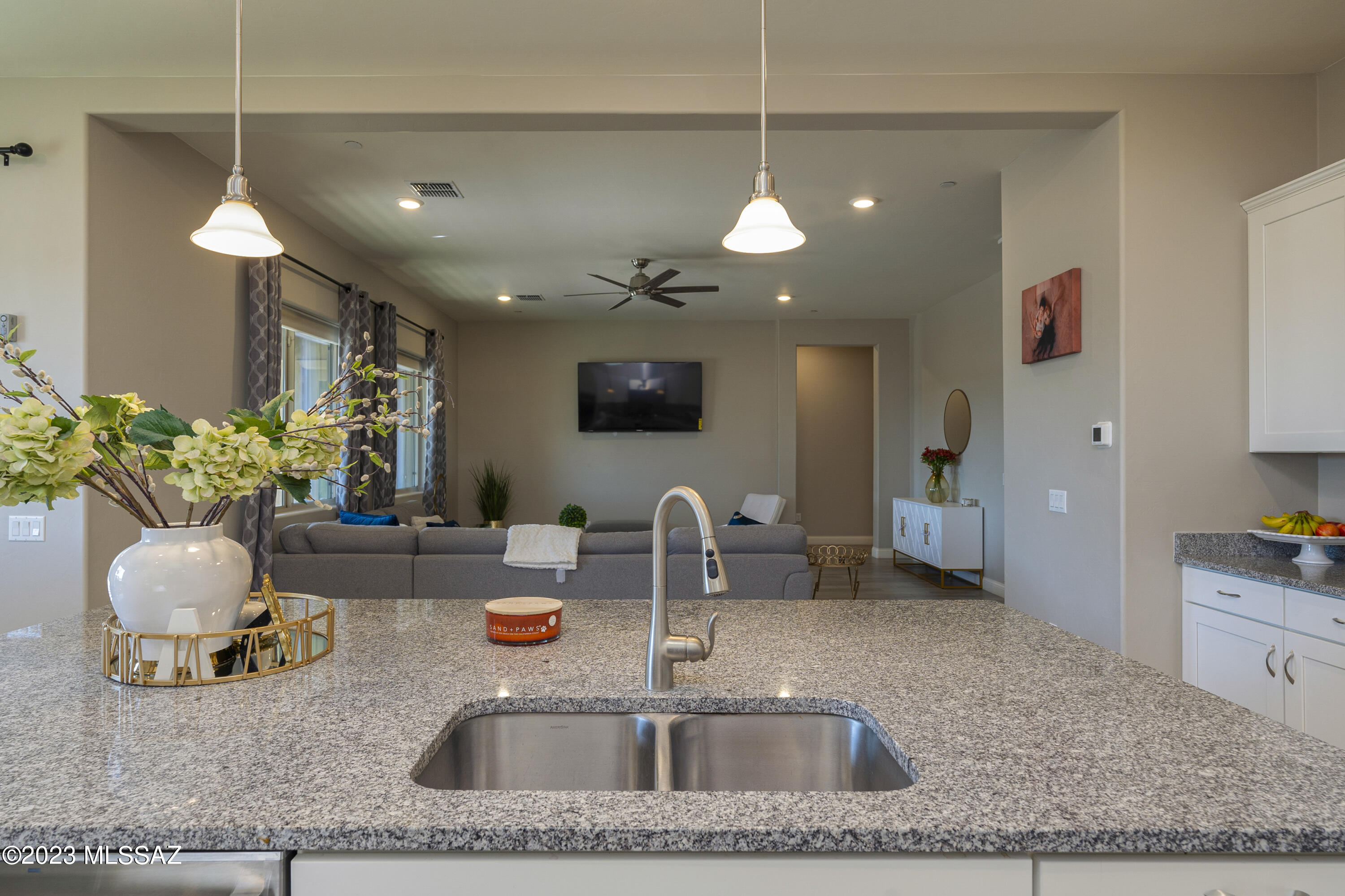 Starr Pass - Residential
