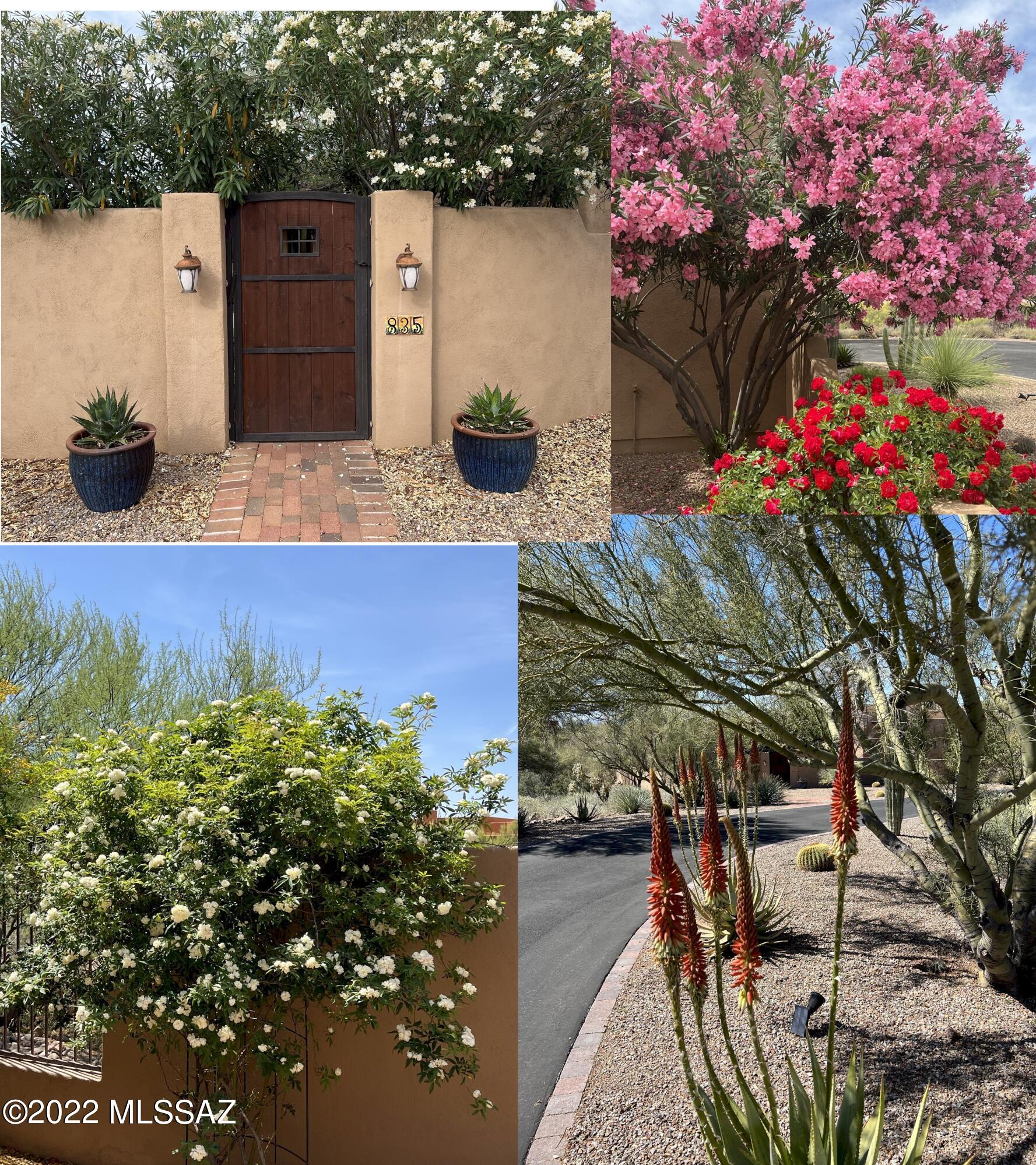 Coyote Ridge (1-109) - Residential