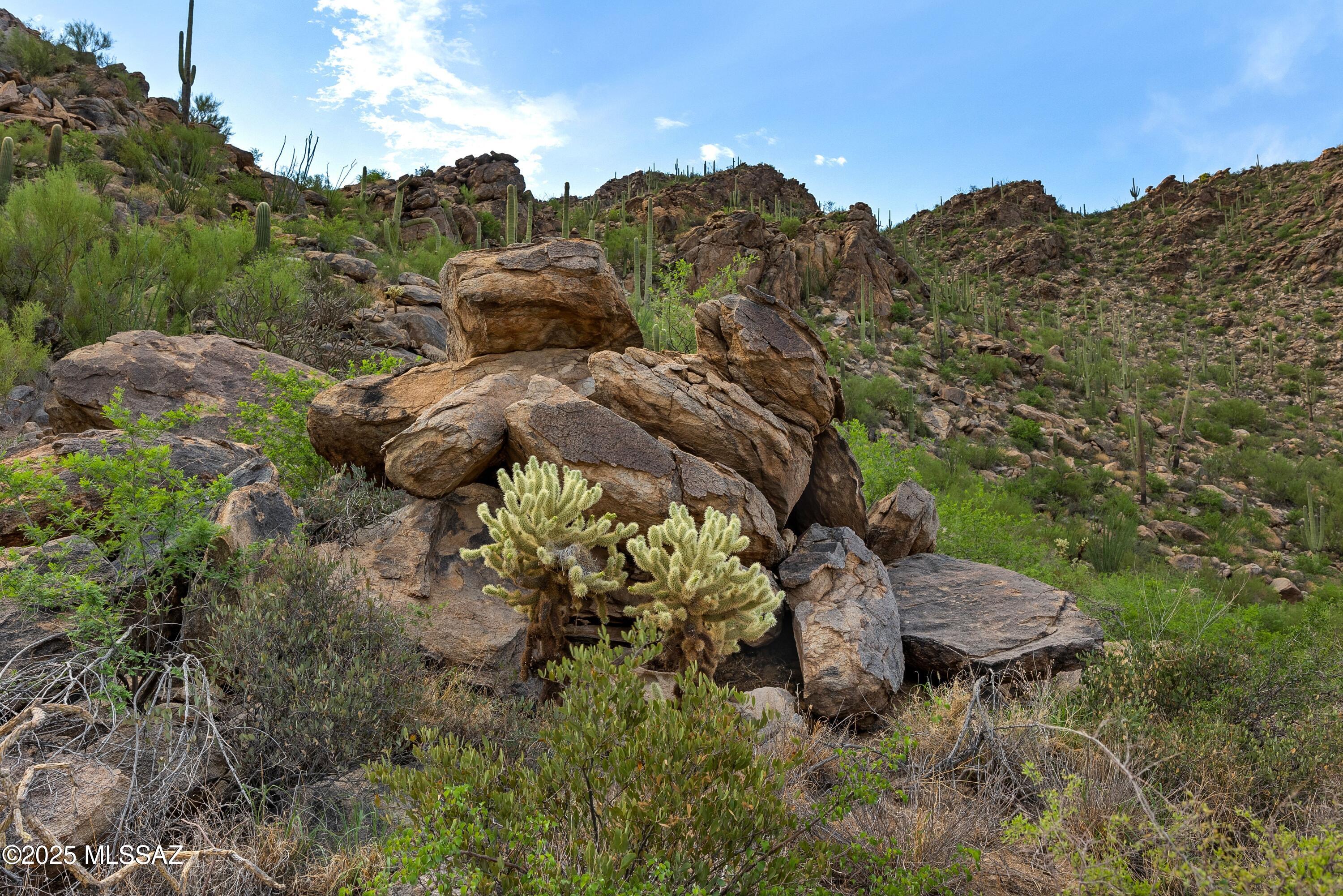 Saguaro Ranch (9-52) Blks. 1-4 - Land