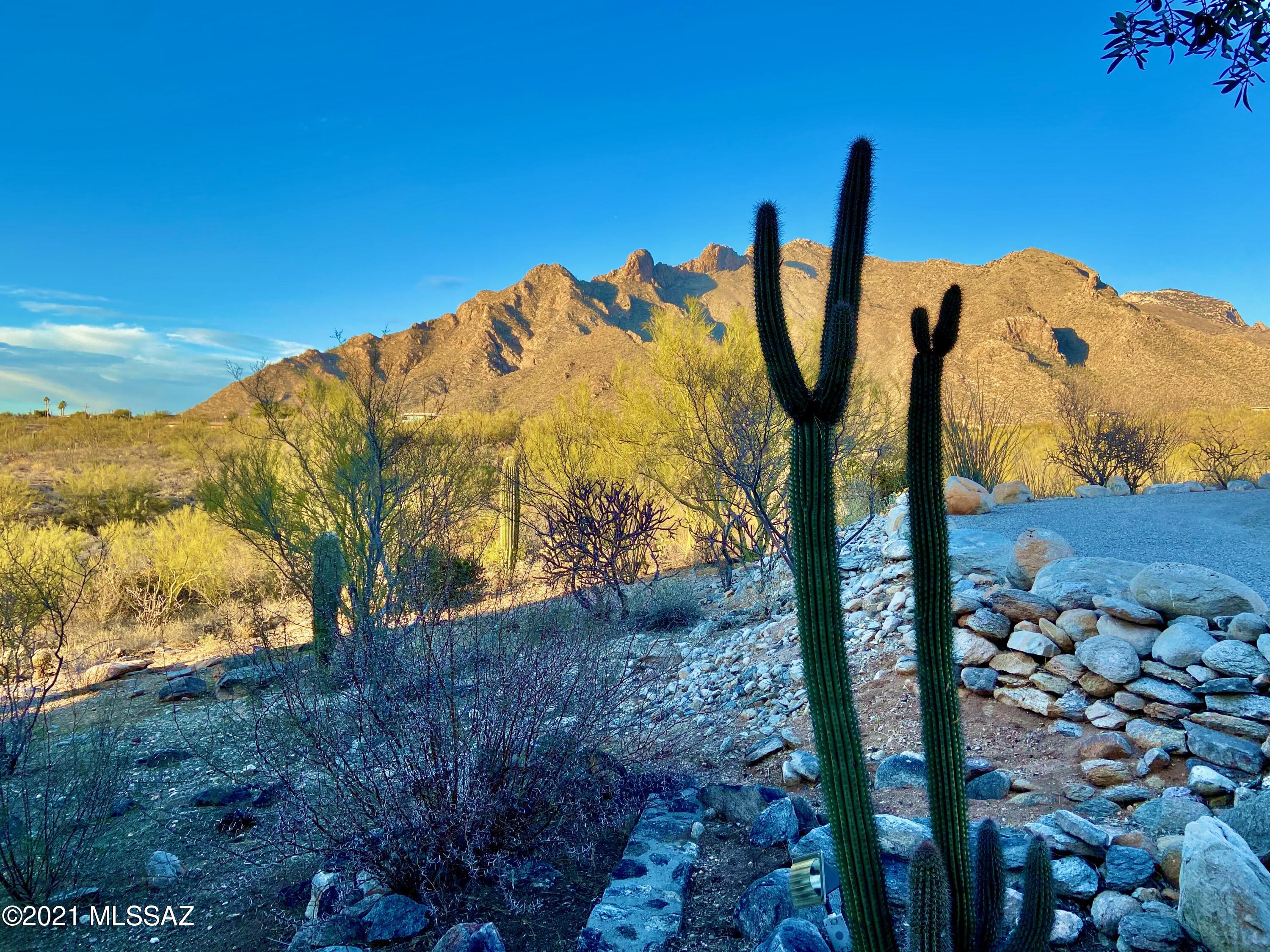 Cobo Catalina Hills (1-51) - Residential