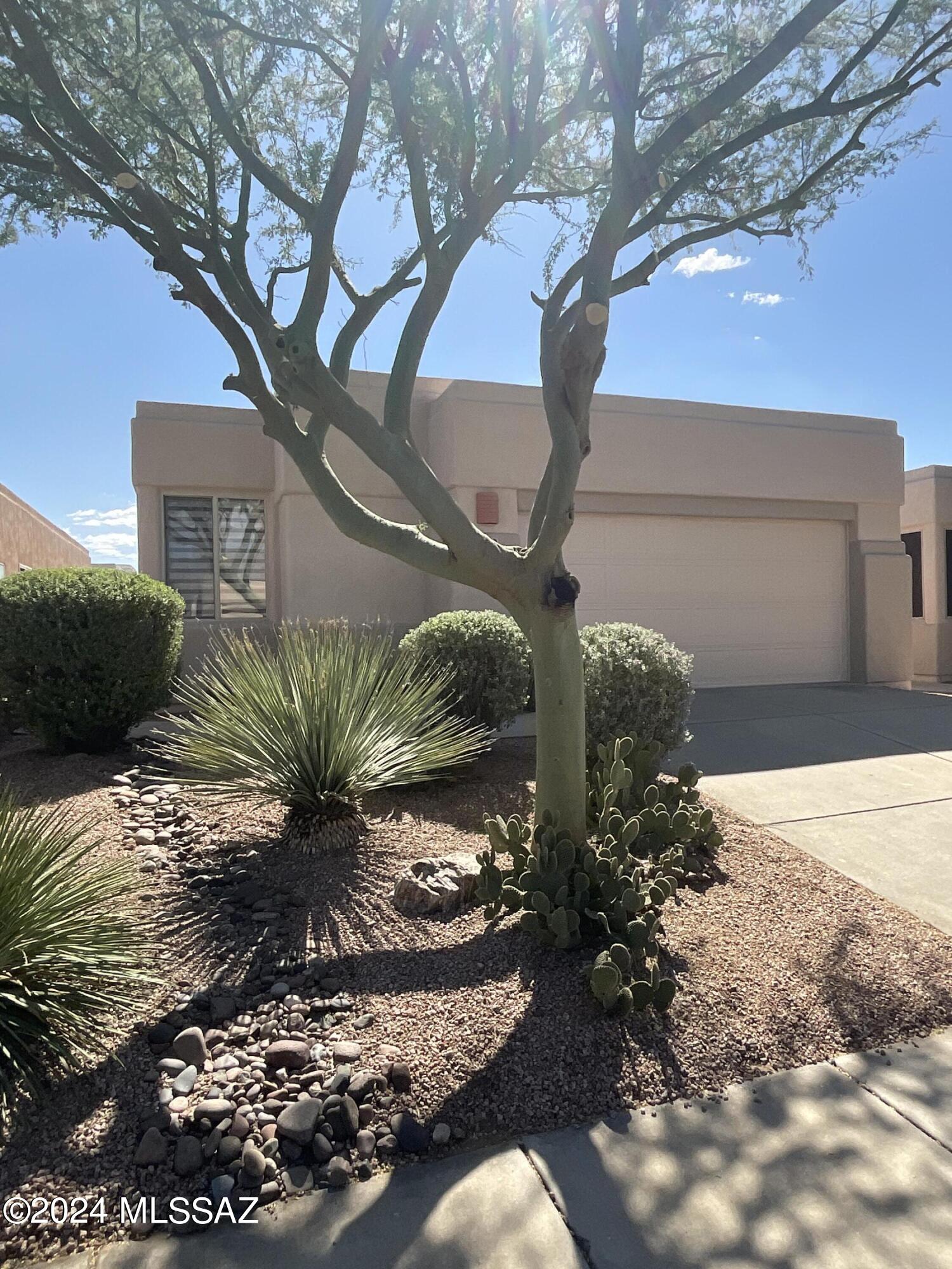 Welcome to this charming 3-bedroom, 2-bathroom home located in the convenient gated community of Northeast Tucson, AZ. This freshly painted house (interior and exterior) features new hardware, blinds, and light fixtures throughout. All new kitchen appliances as well. Granite kitchen and bath counters. The lighted vanity mirrors add a touch of luxury to the bathrooms. The garage boasts a new epoxy floor and an extra refrigerator for added convenience. Smart Home features include thermostat, alarm system and garage door. Residents can enjoy access to 3 community pools within the gated community. Available as a 6, 12 or 18 month lease. HOA maintains front landscaping and landlord has rear landscaping maintained. Don't miss out on the opportunity to make this house your new home.