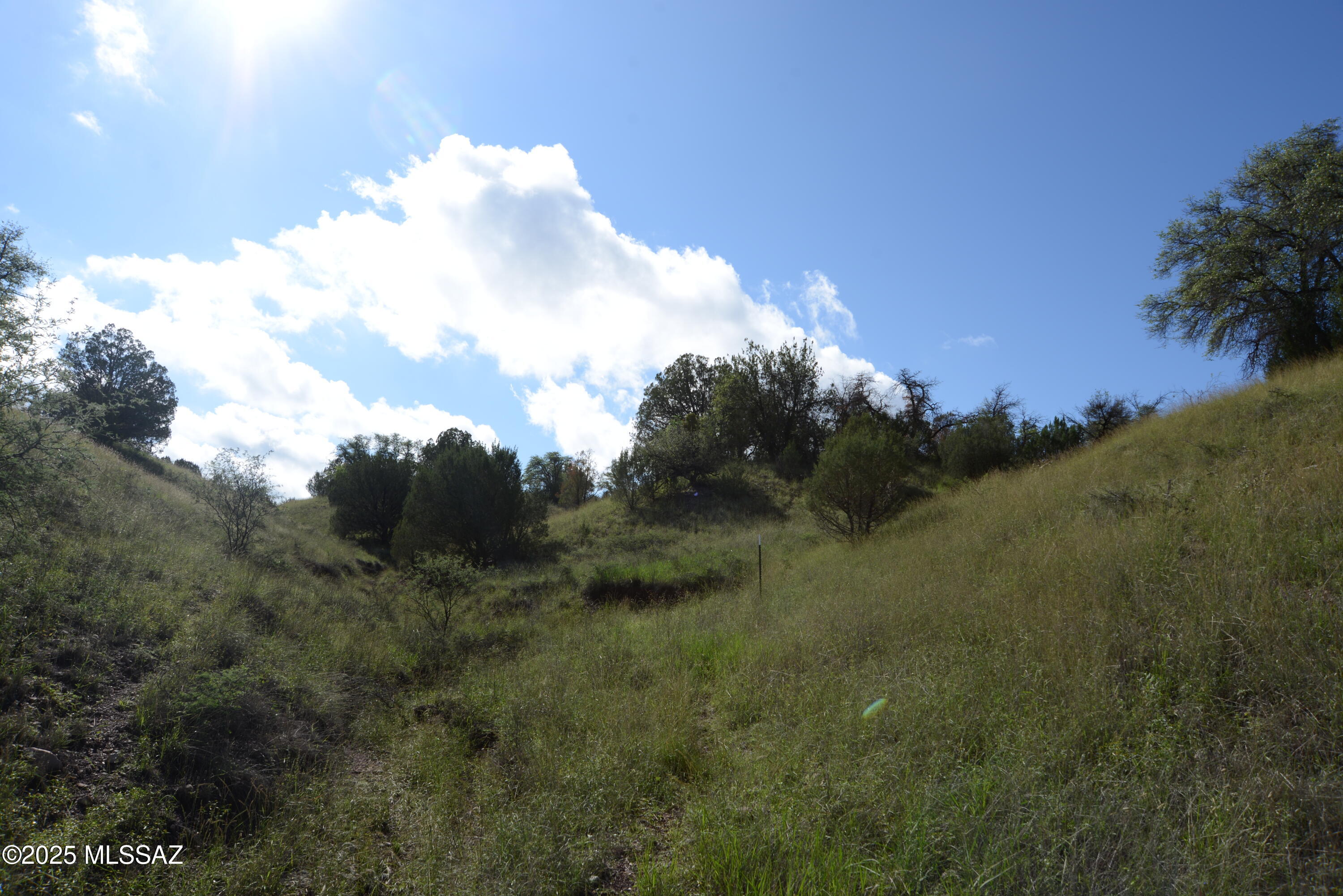 50+ acres comprised of APN 110-22-004E & 110-22-044 in a secluded yet convenient location close to the growing list of services available in Sonoita.  Low density SCC GR zoning, excellent access with mostly upscale homes in the area, rolling terrain offering numerous potential build sites and covered with mature oaks, juniper and mesquite, offering handsome views. Mostly fenced, underground power, good water table in the area. The combination of location, size and quality with no known deed restrictions or CCRs presents a unique opportunity for the discerning buyer at a time when desirable acreage, particularly of this size, is getting harder to find in the Sonoita area. Both parcels are on  grazing leases, and the taxes for both for are $17.00.