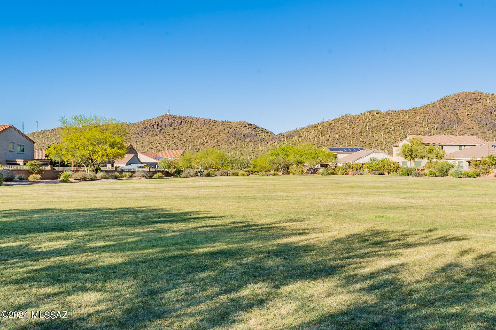 Saguaro Springs Block 8B (131-399) - Residential