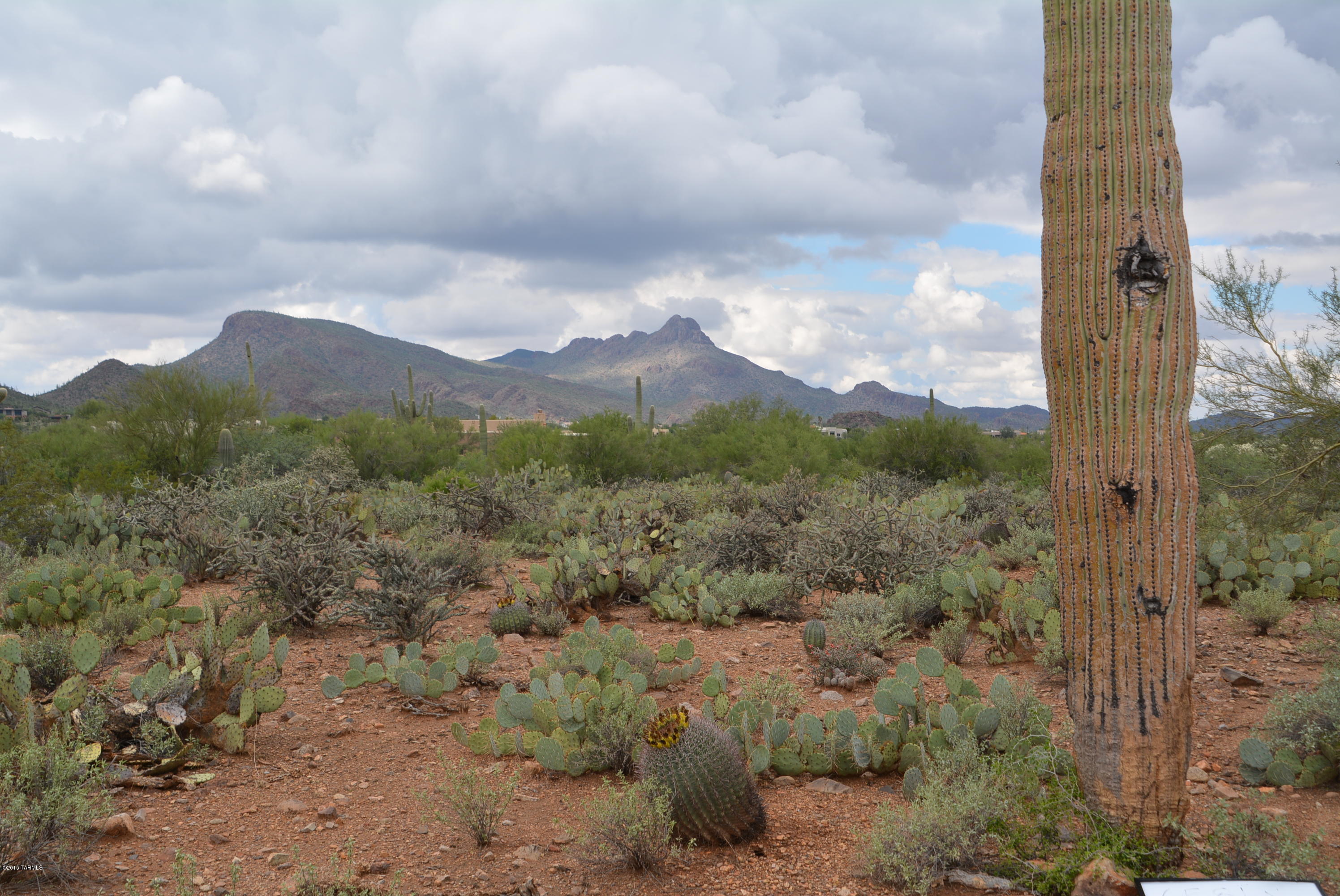 Cream of the crop for SR lots in the Tucson Mountain area. Relatively flat SR lot on a private road with city and mountain views. Easy build, convenient location in an area of custom homes just outside Saguaro National Park. Lots of saguaro cacti, builder services available.  Address is approx