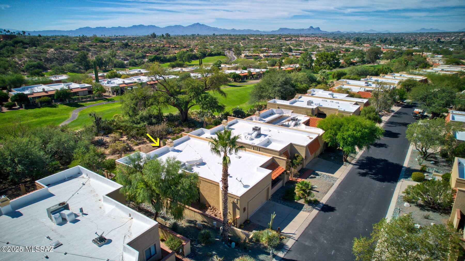 El Conquistador Resort Patio Homes (1-95) - Residential Lease