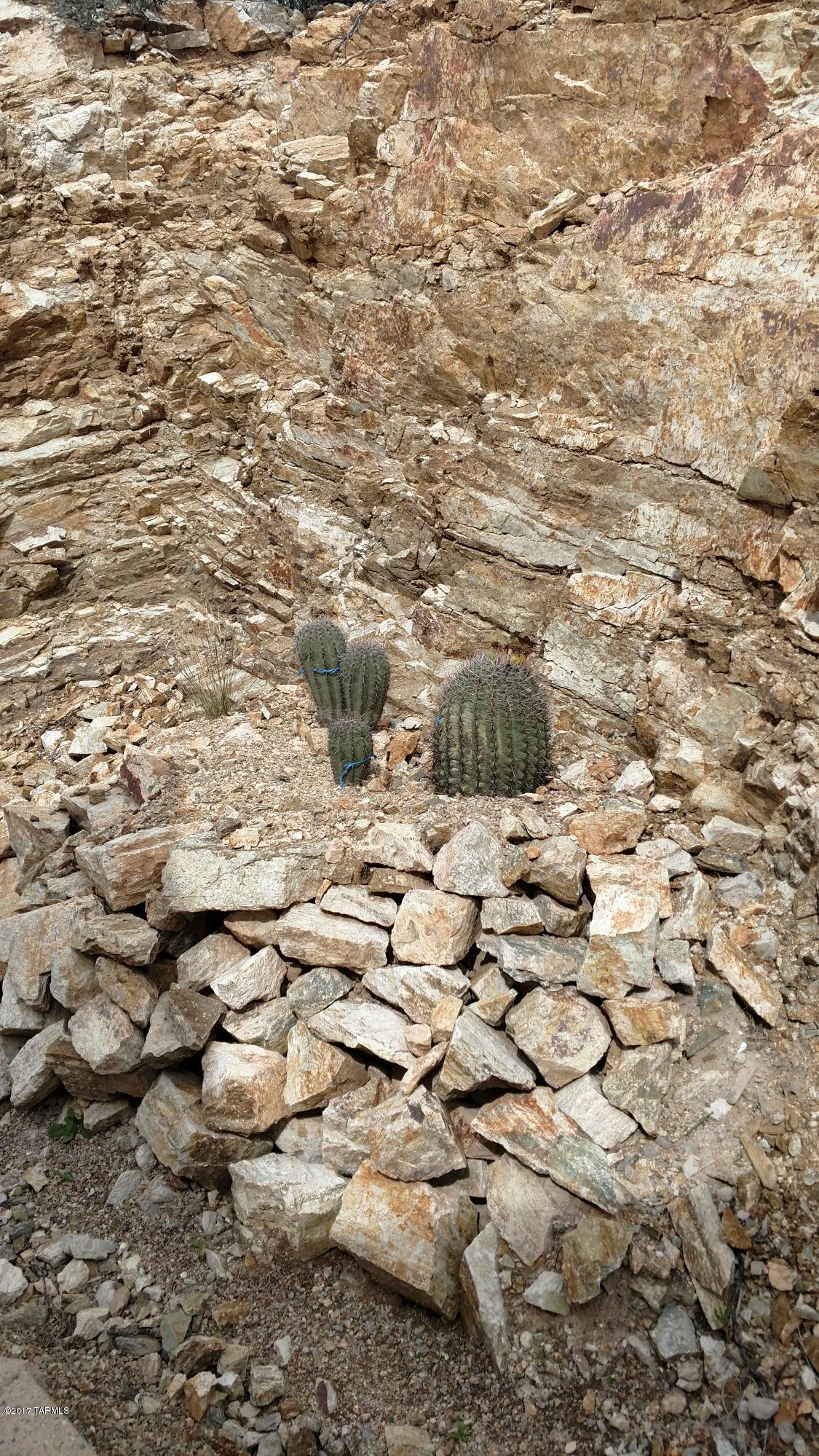 Sabino Estates (1-45) - Residential Lease