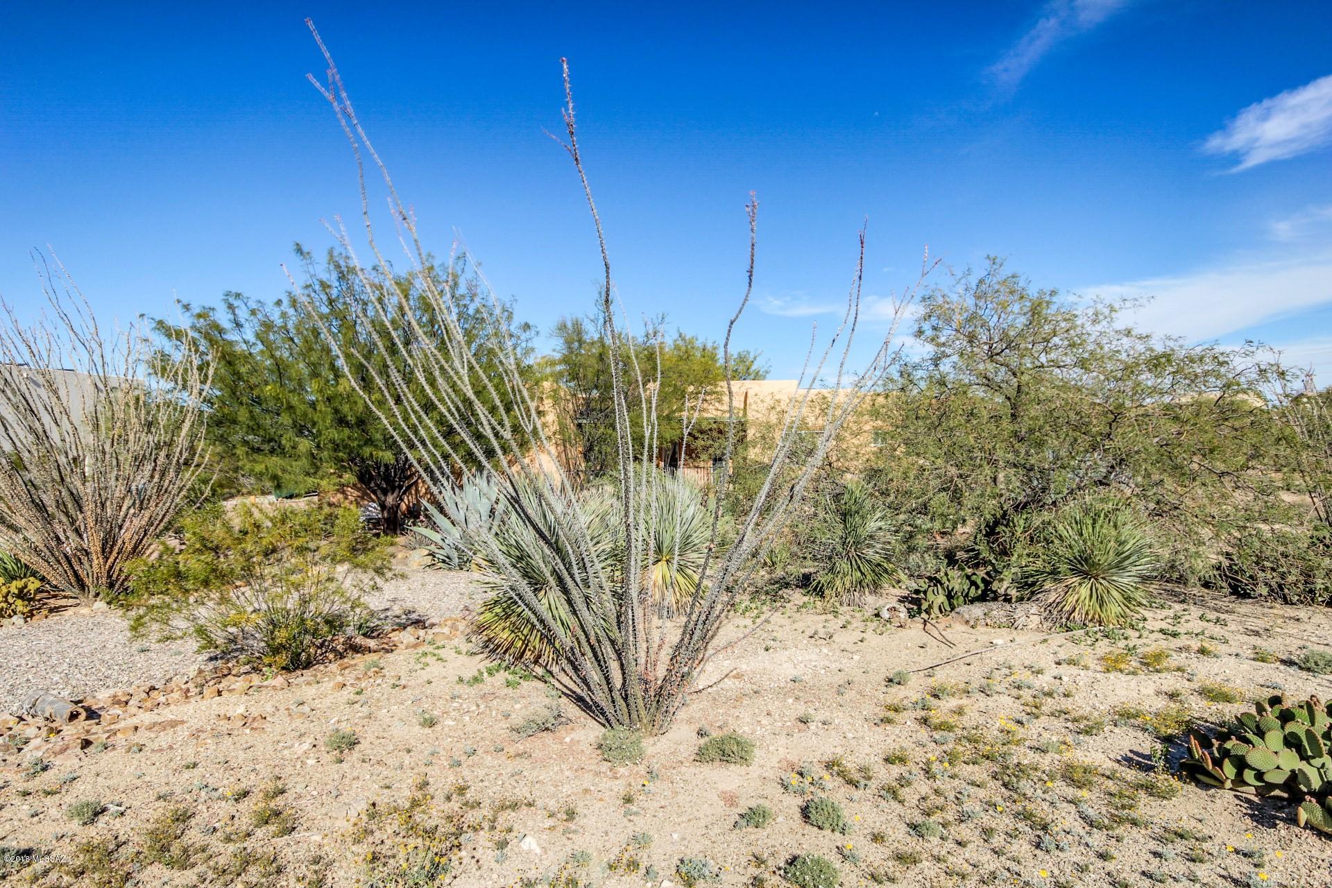 New Tucson Unit NO. 27 - Residential