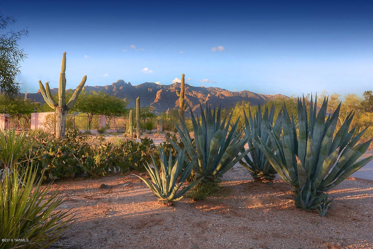 Catalina Foothills Estates - Residential