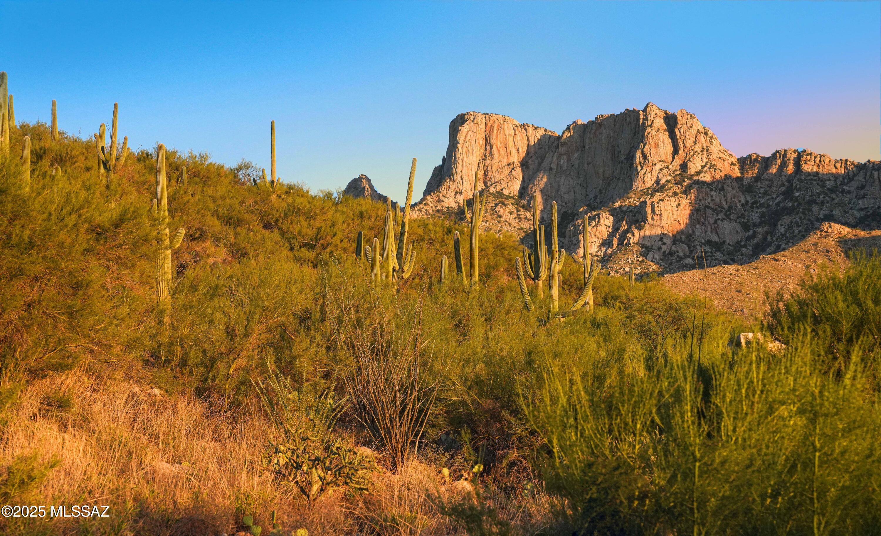 Nestled in the prestigious guard-gated La Reserve community, this hillside view lot offers a rare opportunity to create your custom desert retreat.  Situated at an elevation of 2,740', the property showcases spectacular mountain views from the rear yard, with a designated wilderness area located at the top of the lot, ensuring privacy and a natural backdrop. Unlike most hillside parcels, this lot is uniquely enriched with mature trees and lush Sonoran Desert vegetation, including towering saguaros and native plant life, creating a serene setting that blends seamlessly with its rugged landscape. The dramatic background, the Catalina Mountains, provides a striking panorama that defines the beauty of Oro Valley. From the future home site, you'll enjoy sweeping valley views that stretch across the desert floor, complemented by brilliant Arizona sunsets.  The elevation and orientation create endless possibilities for designing indoor-outdoor living spaces expansive patios, view decks, or even a negative-edge pool that celebrate the desert lifestyle.

This property is more than just a lot, it's the perfect canvas for a one-of-a-kind residence that blends luxury, nature, and lifestyle in one of Southern Arizona's most sought-after communities.