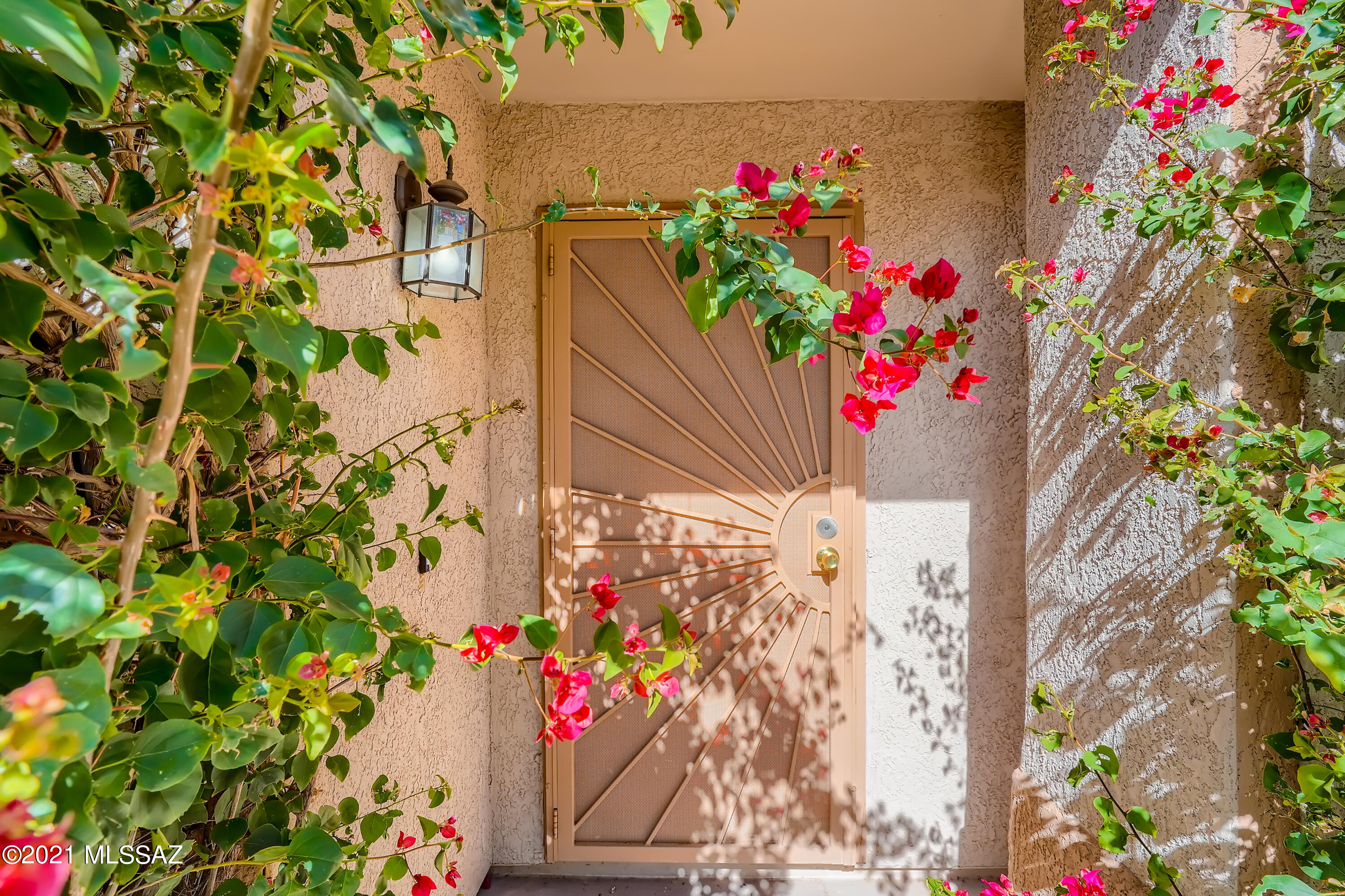 Cortaro Ranch (1-297) - Residential