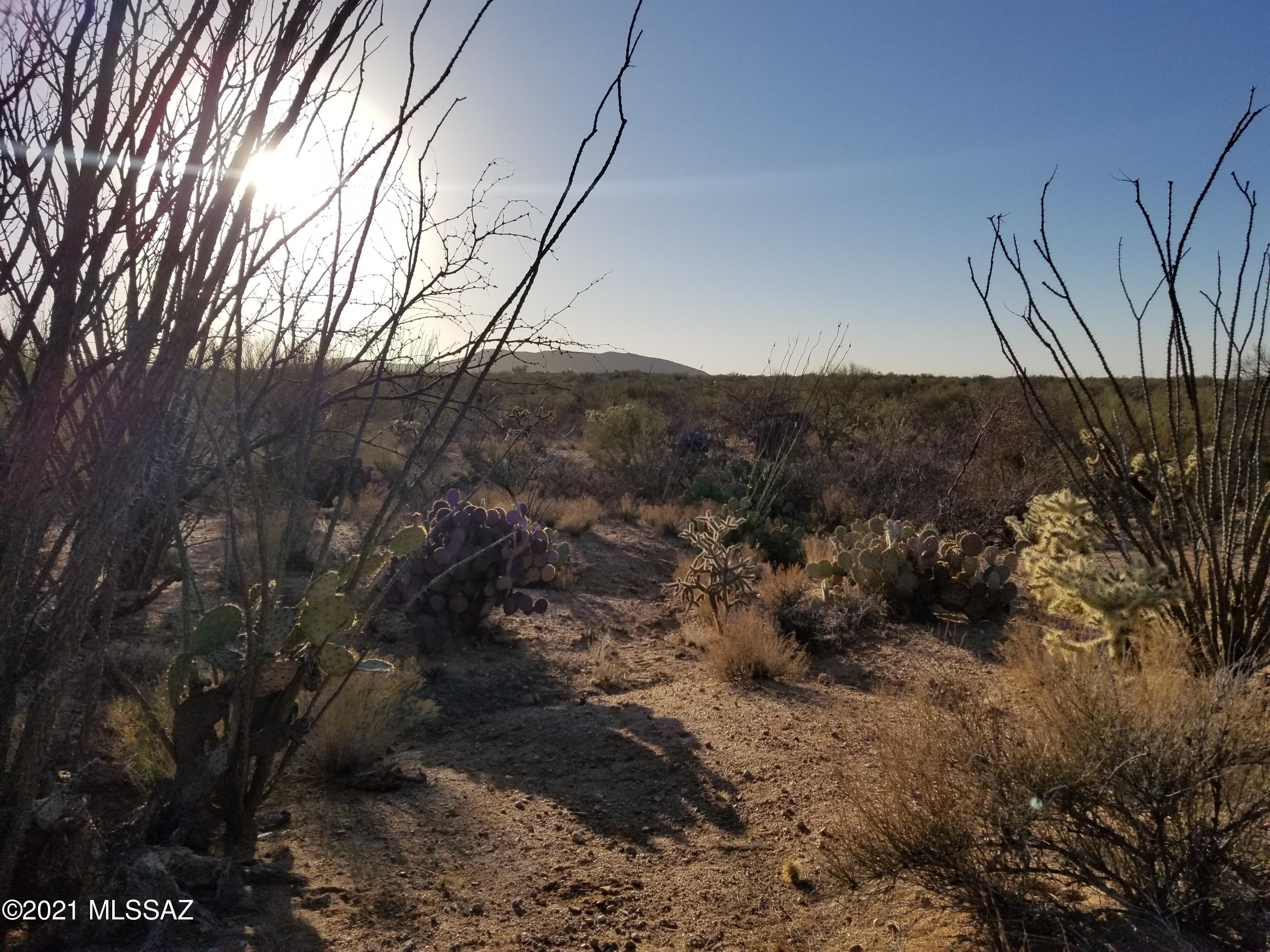 Wrangler Ranches NO. 2 - Land