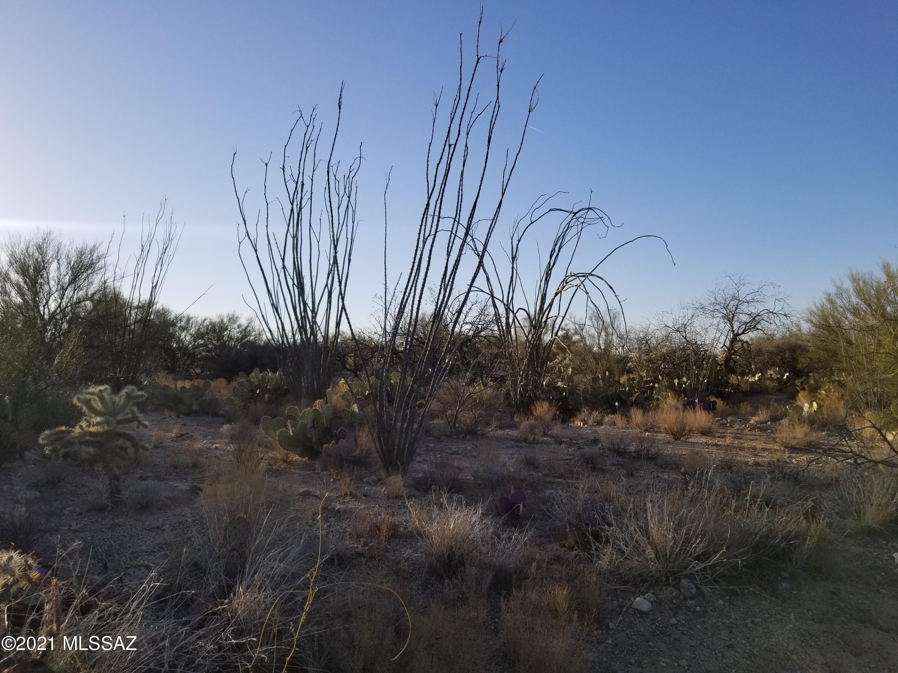 Wrangler Ranches NO. 2 - Land