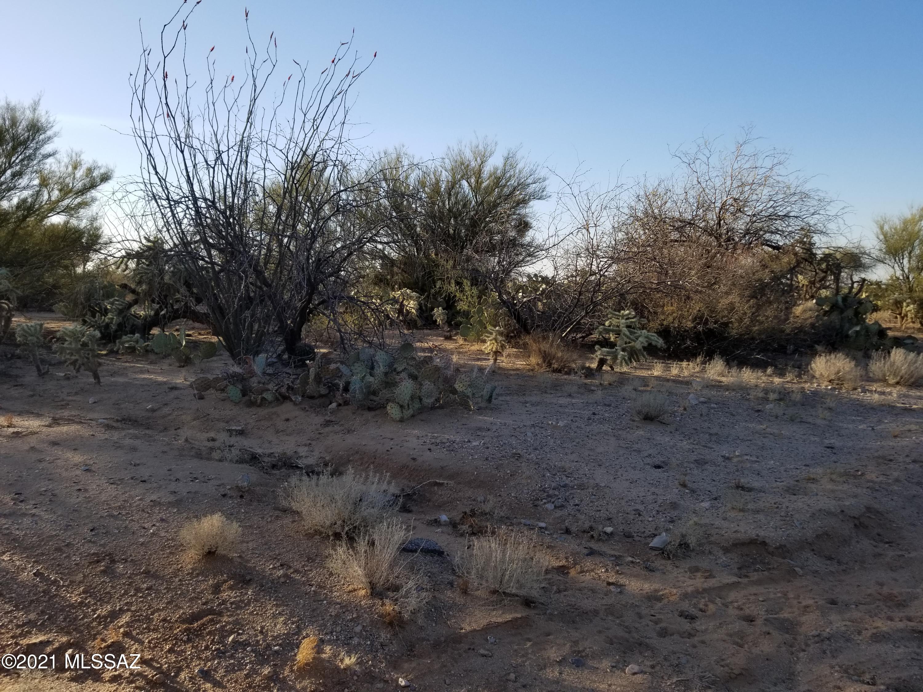 Wrangler Ranches NO. 2 - Land
