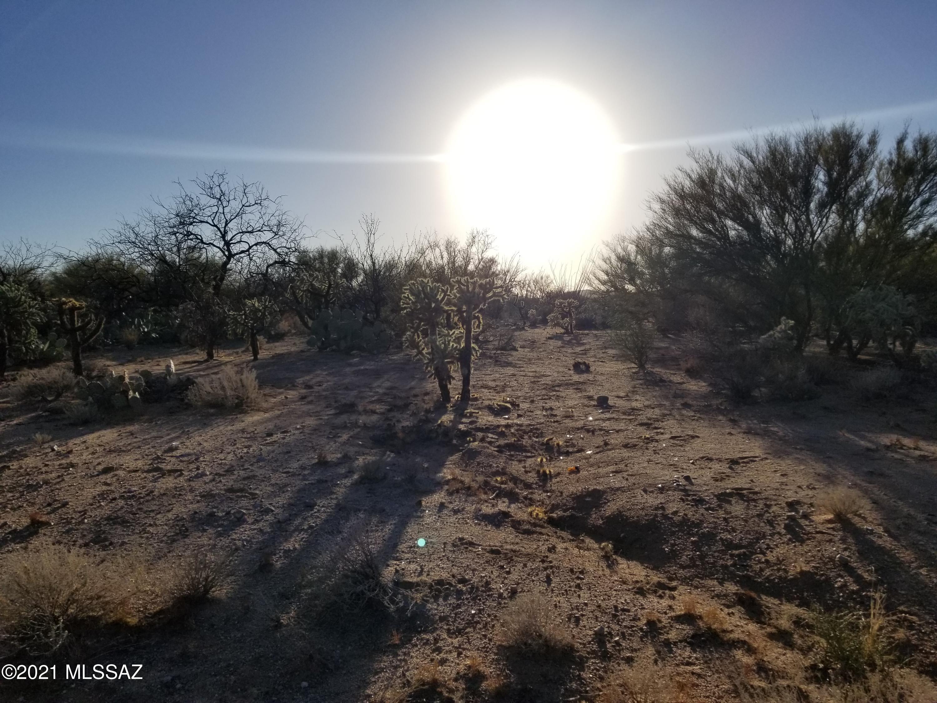 Wrangler Ranches NO. 2 - Land