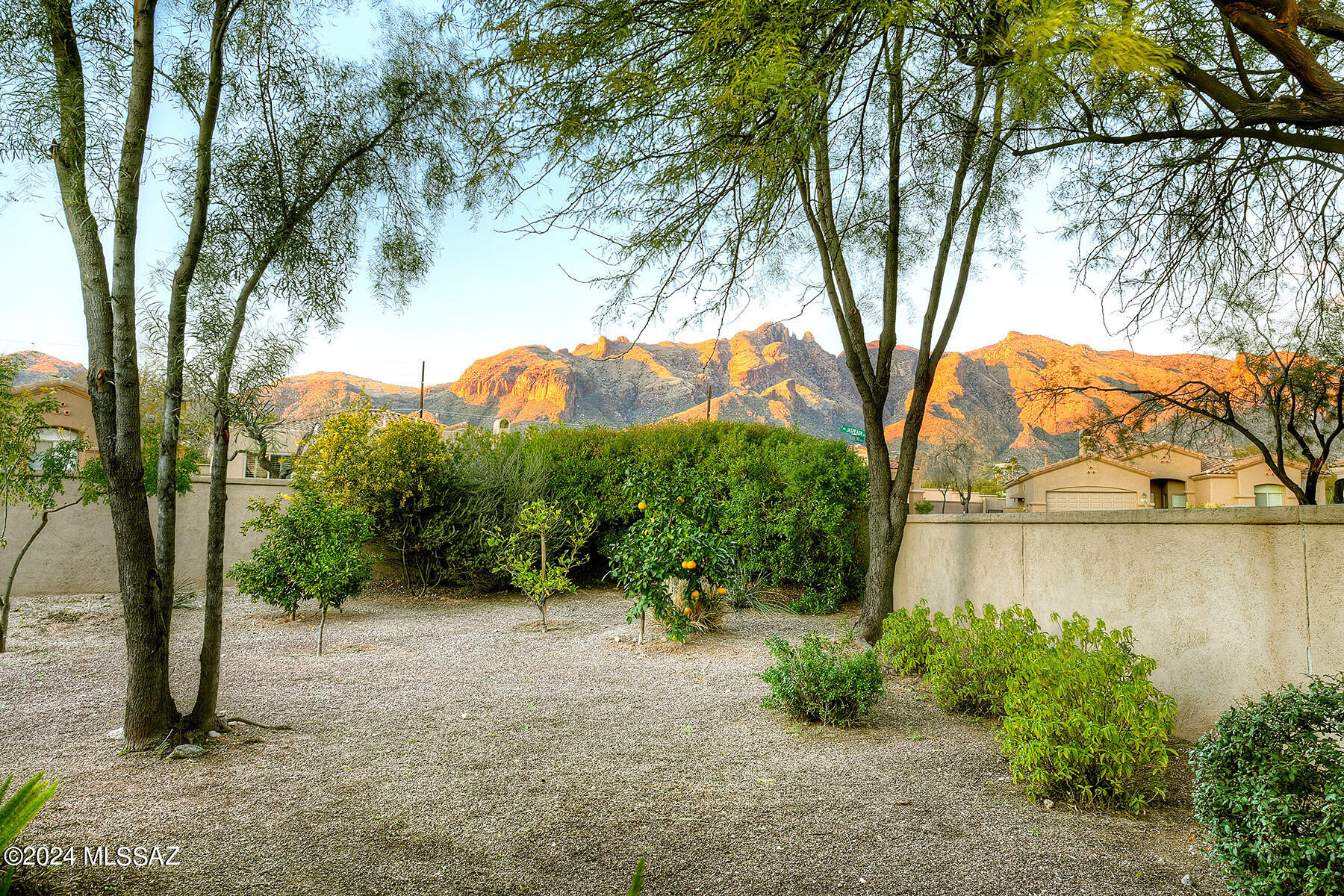 Village 1 At the Villages of La Paloma - Residential