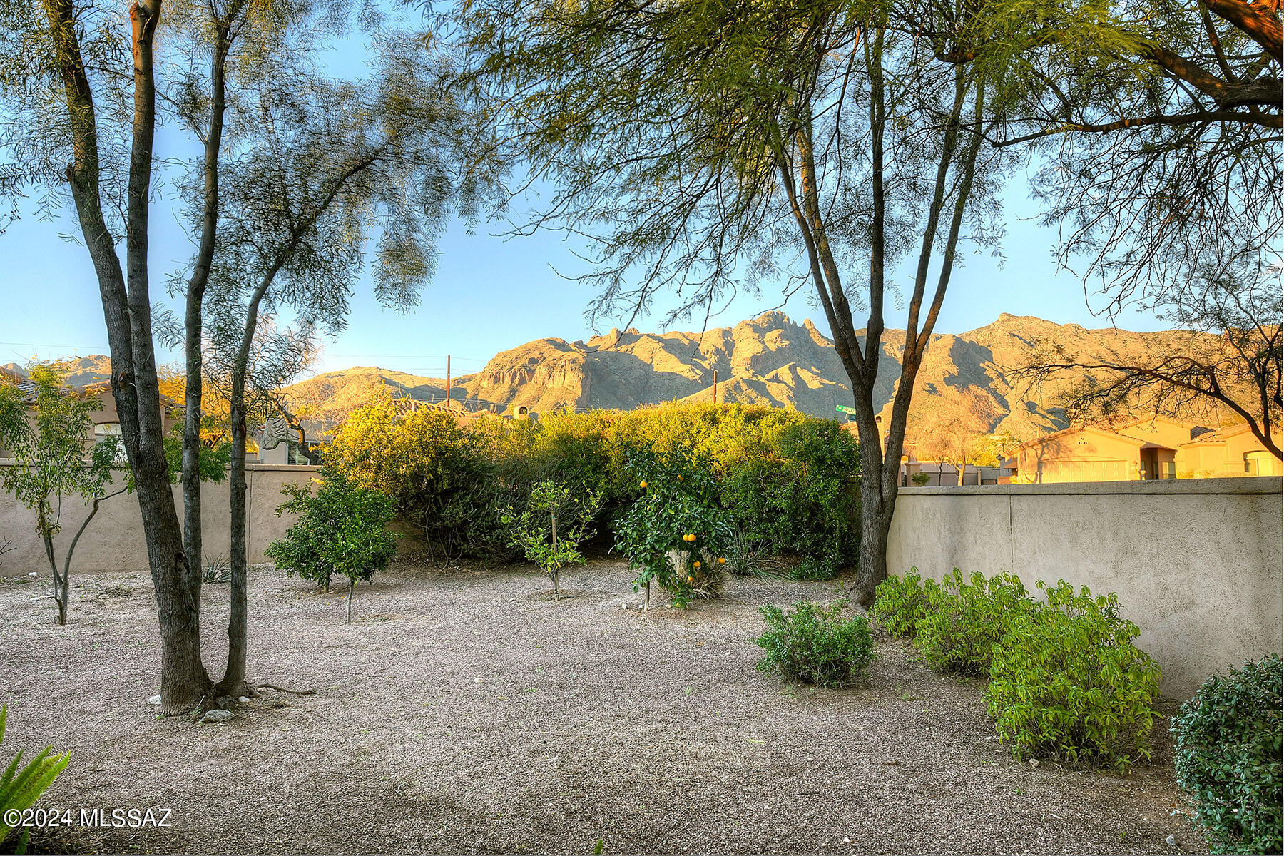 Village 1 At the Villages of La Paloma - Residential