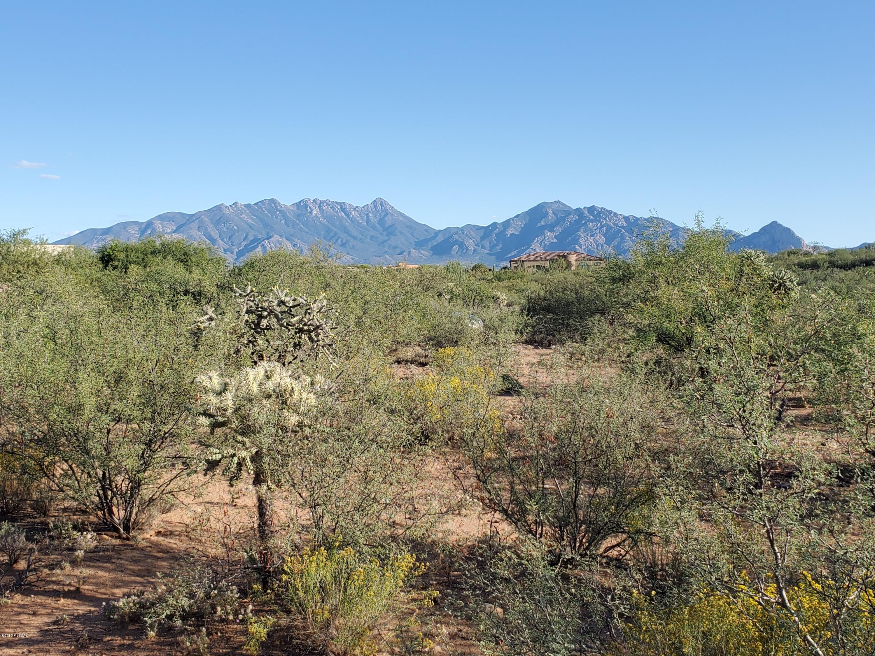 Absolutely gorgeous setting! Gated community with only 50 premium home sites. This elevated 2.15 acre parcel with panoramic views  of the Santa Rita Mountain Range including the famous rock projection below Whipple Observatory called Elephant Head. The terrain is rolling, the desert vegetation is lush and wildlife abounds in this pristine and tranquil area with easy access to Tucson to the north or Tubac Village to the south. This lot is superior to others due to the land across the street being common area helping protect those gorgeous views. You must see it for yourself. Lot is mostly flat. Green Valley Rec available, if desired. Call for details. Santa Cruz Hospital is just minutes away.