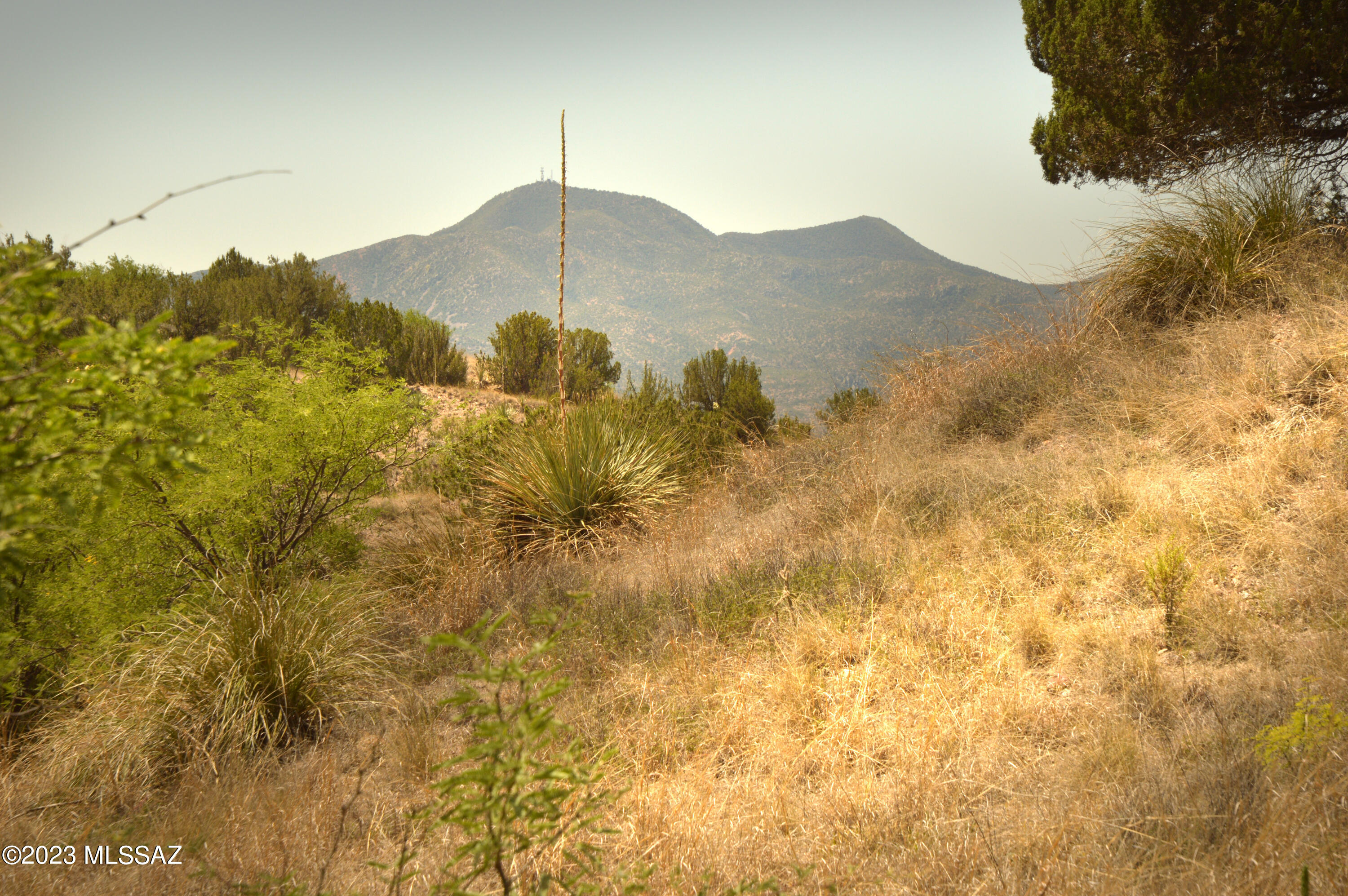 Three Canyons - Land