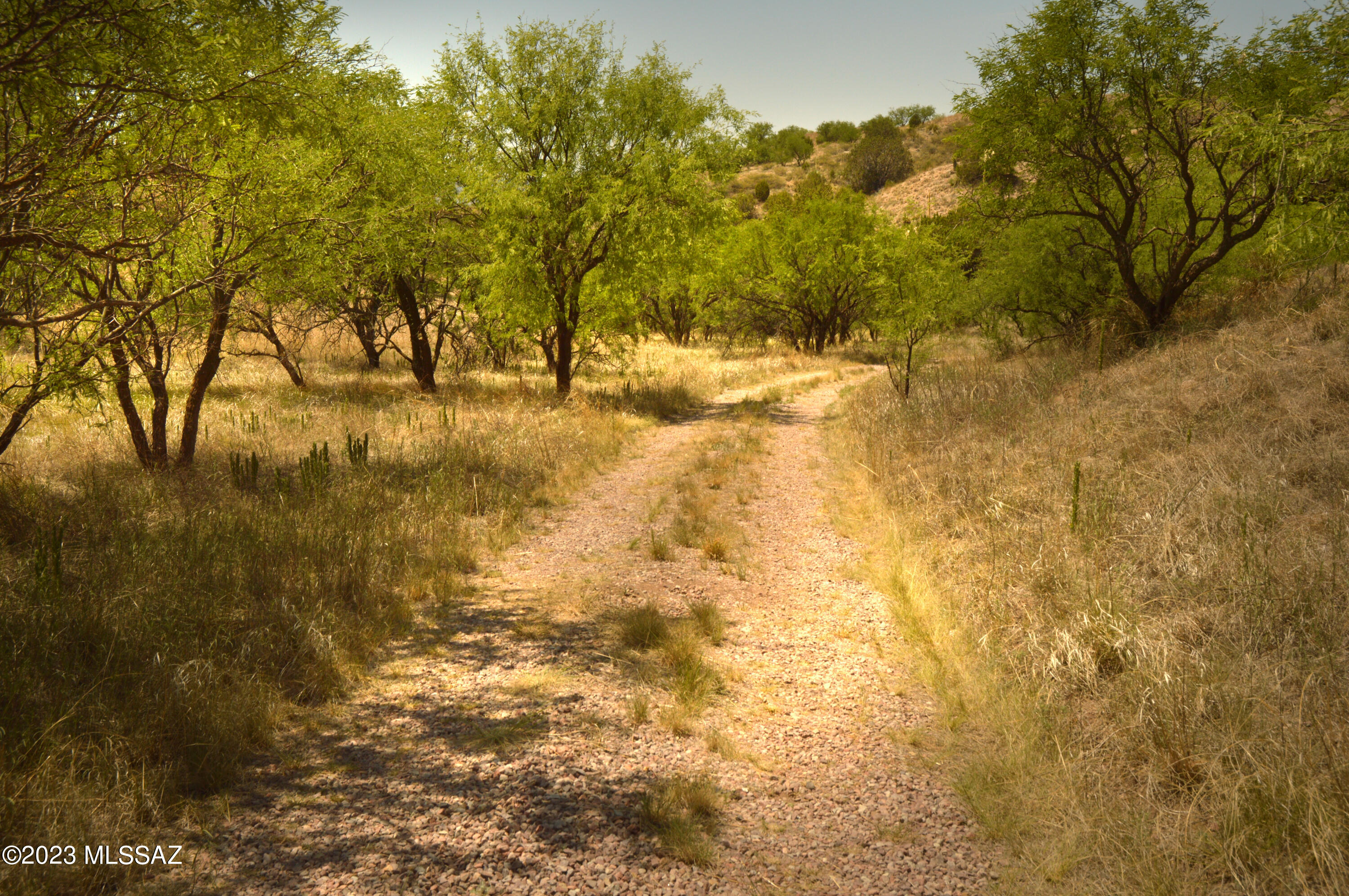 Three Canyons - Land