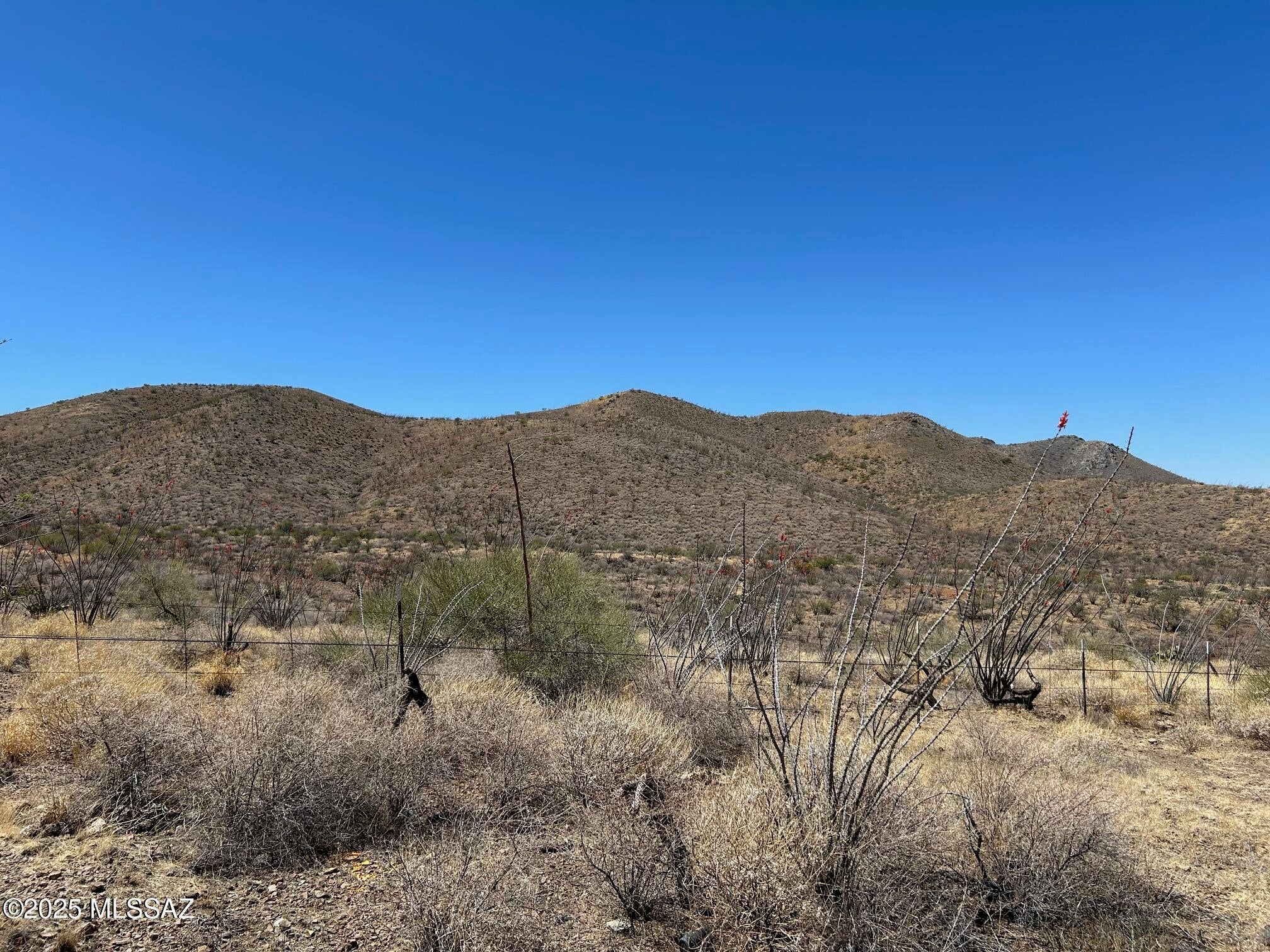 Ocotillo Preserve (1-42) - Land