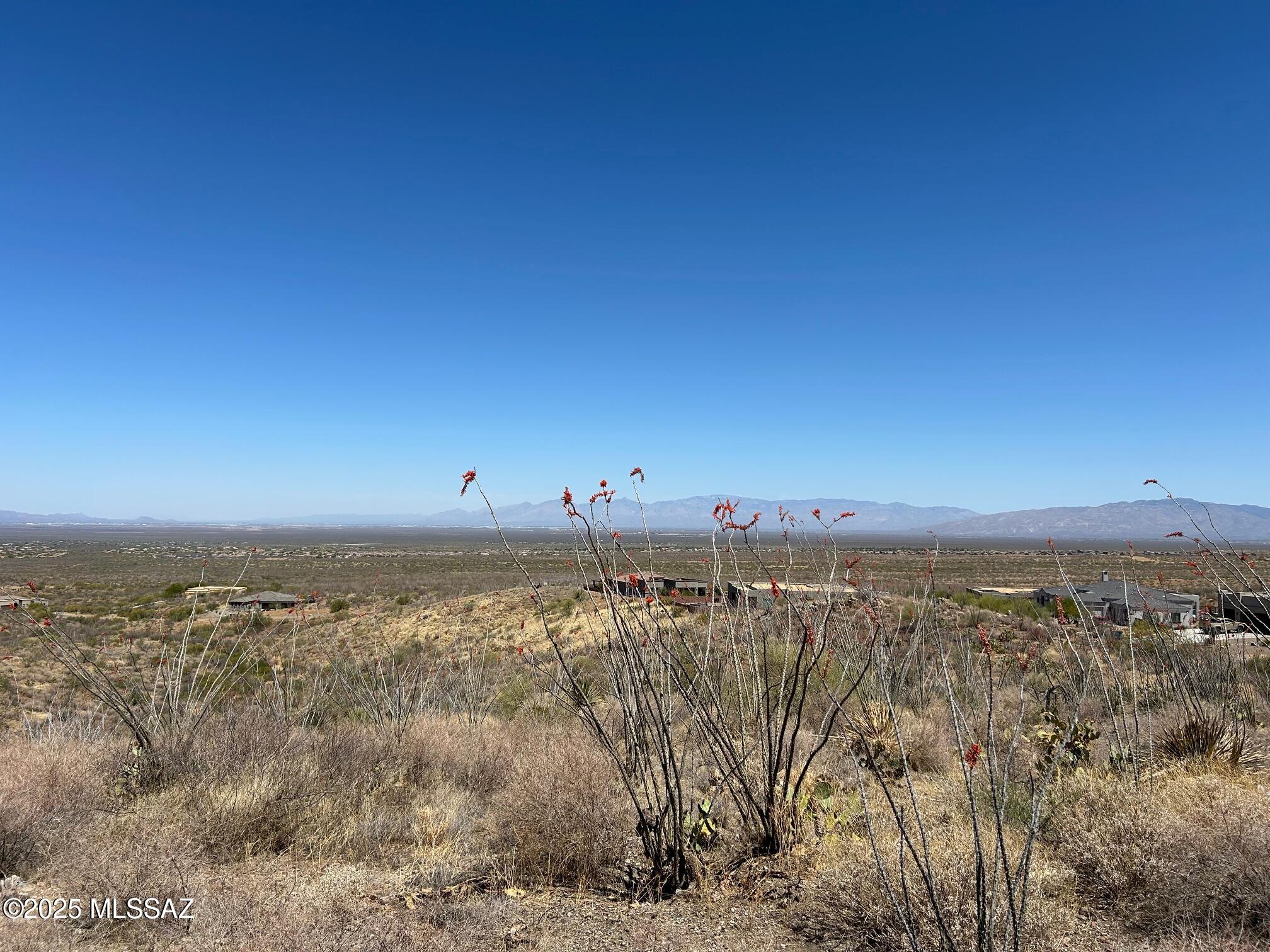 Ocotillo Preserve (1-42) - Land