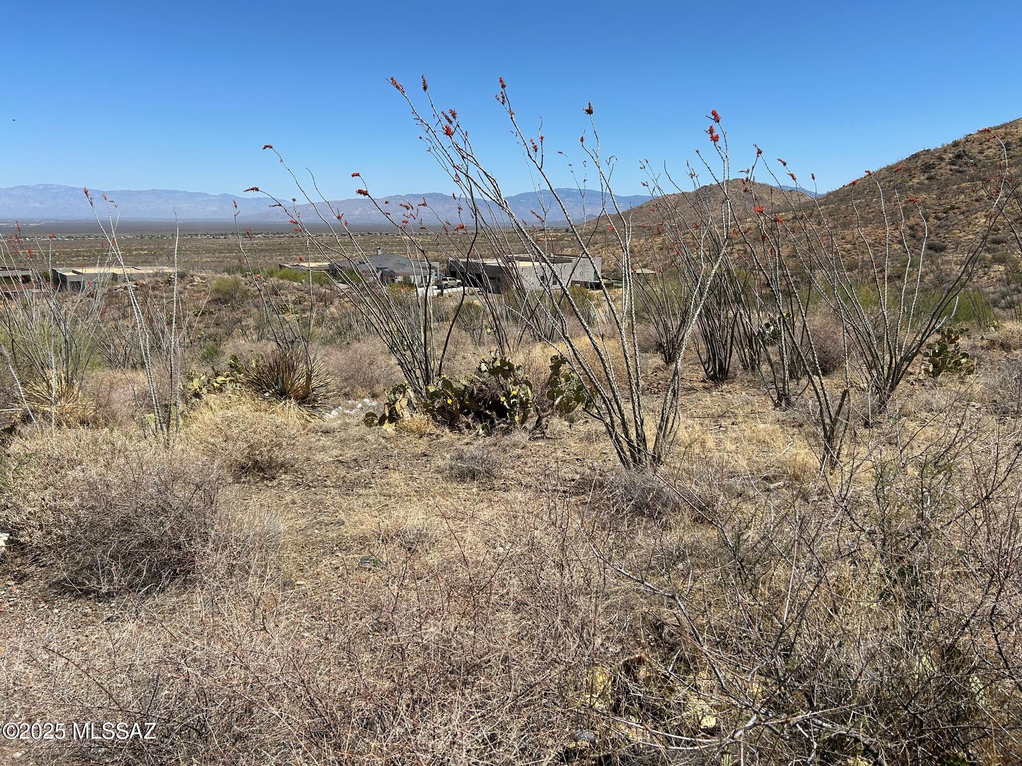 Ocotillo Preserve (1-42) - Land