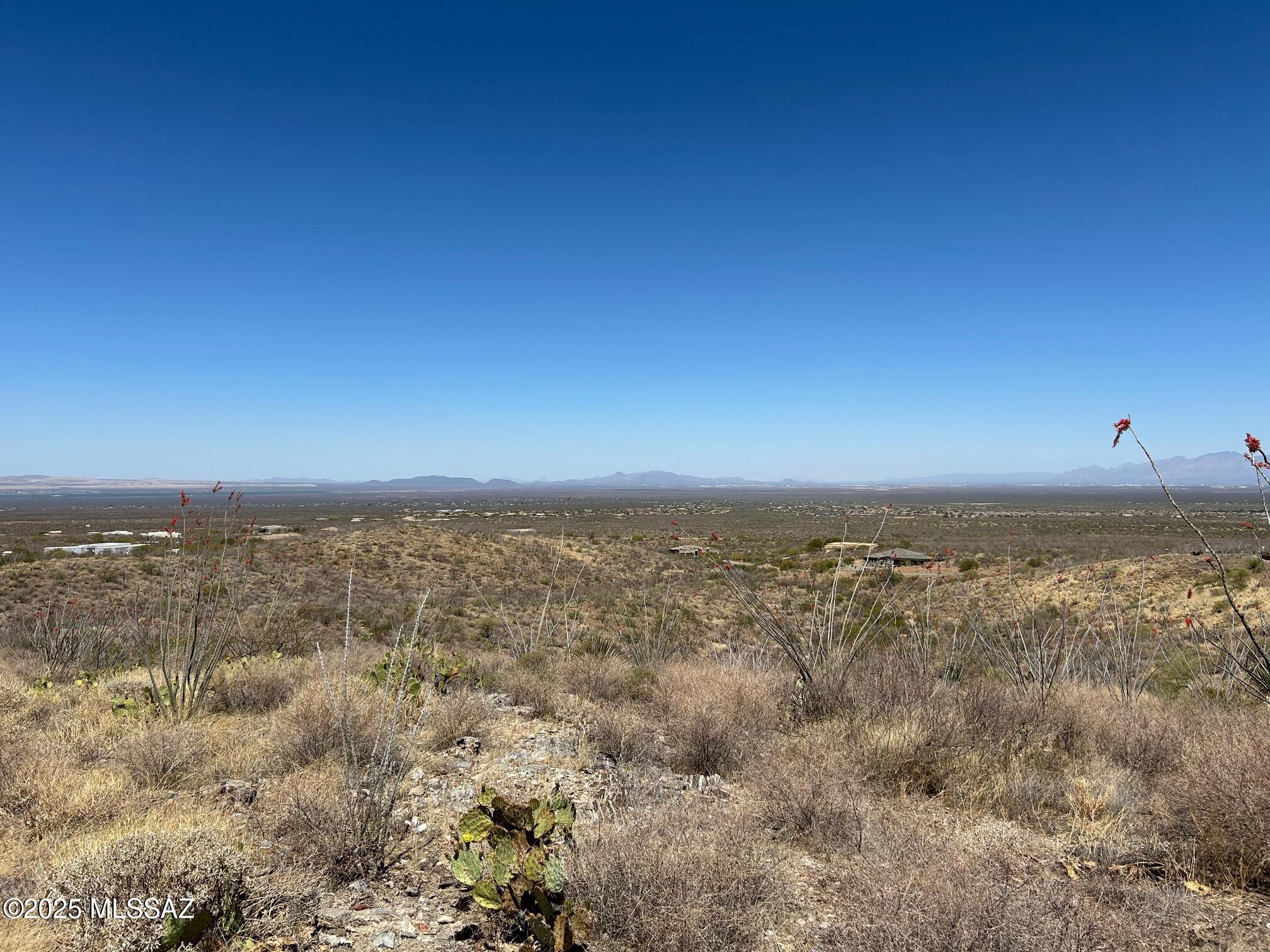 Ocotillo Preserve (1-42) - Land
