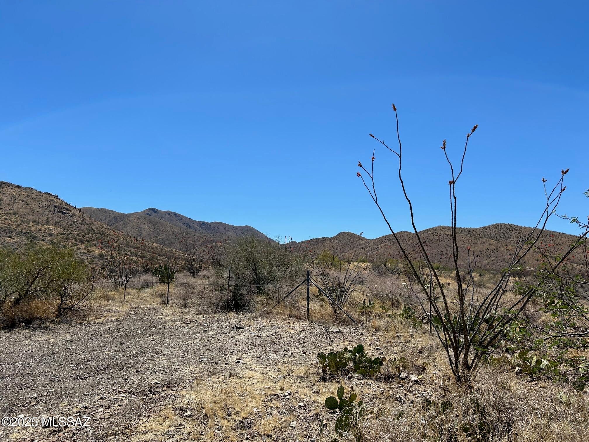 Ocotillo Preserve (1-42) - Land