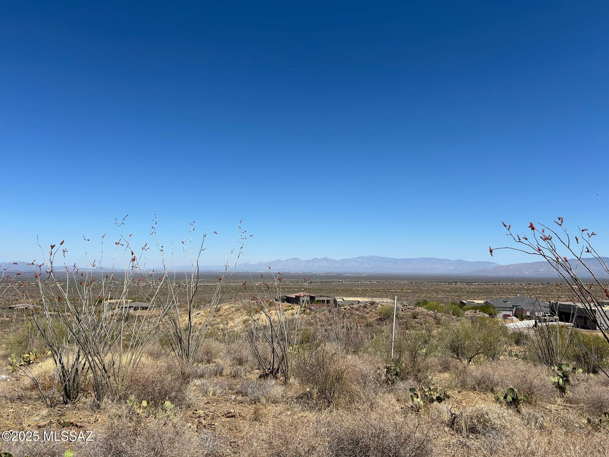Ocotillo Preserve (1-42) - Land