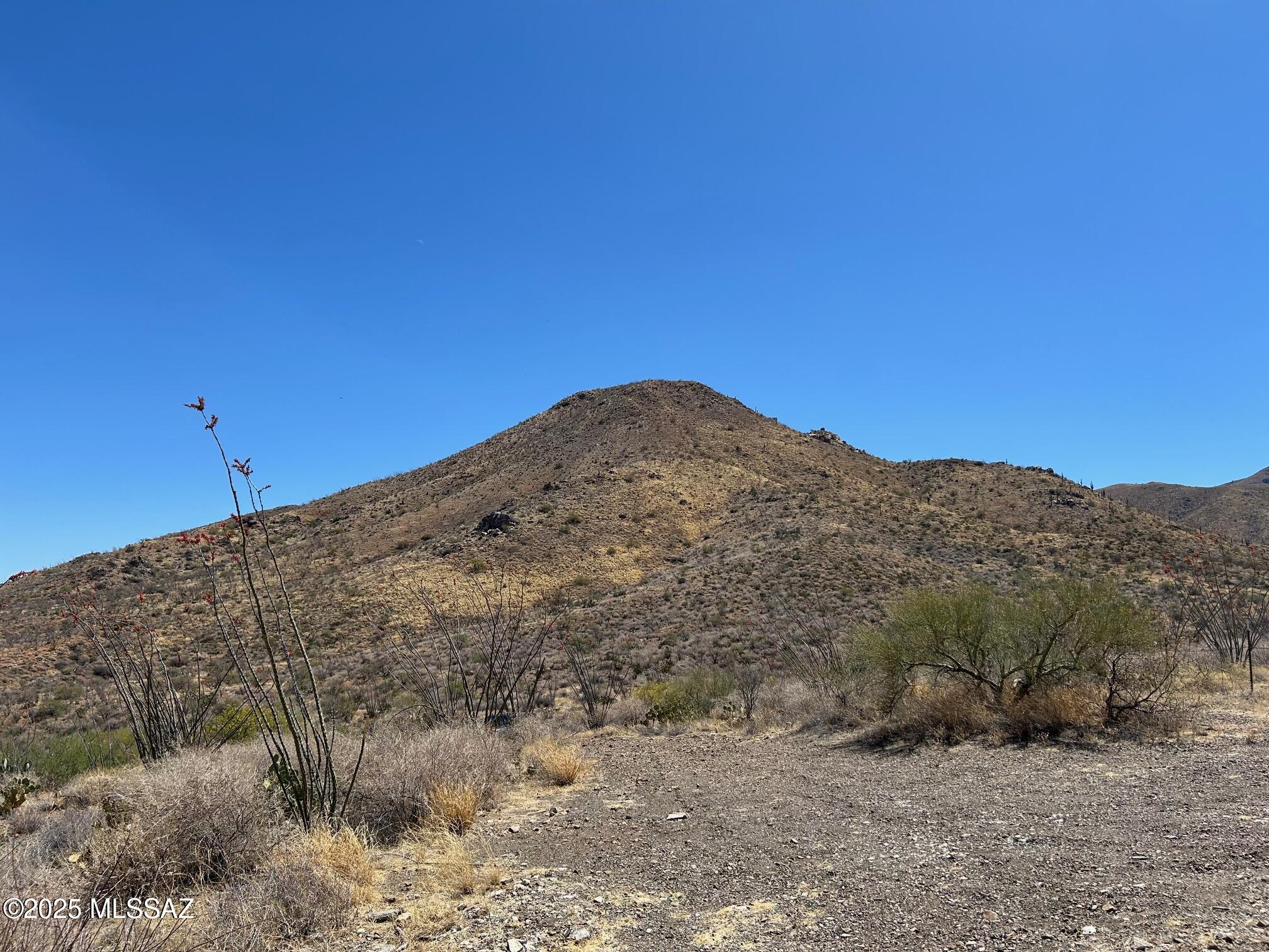 Ocotillo Preserve (1-42) - Land