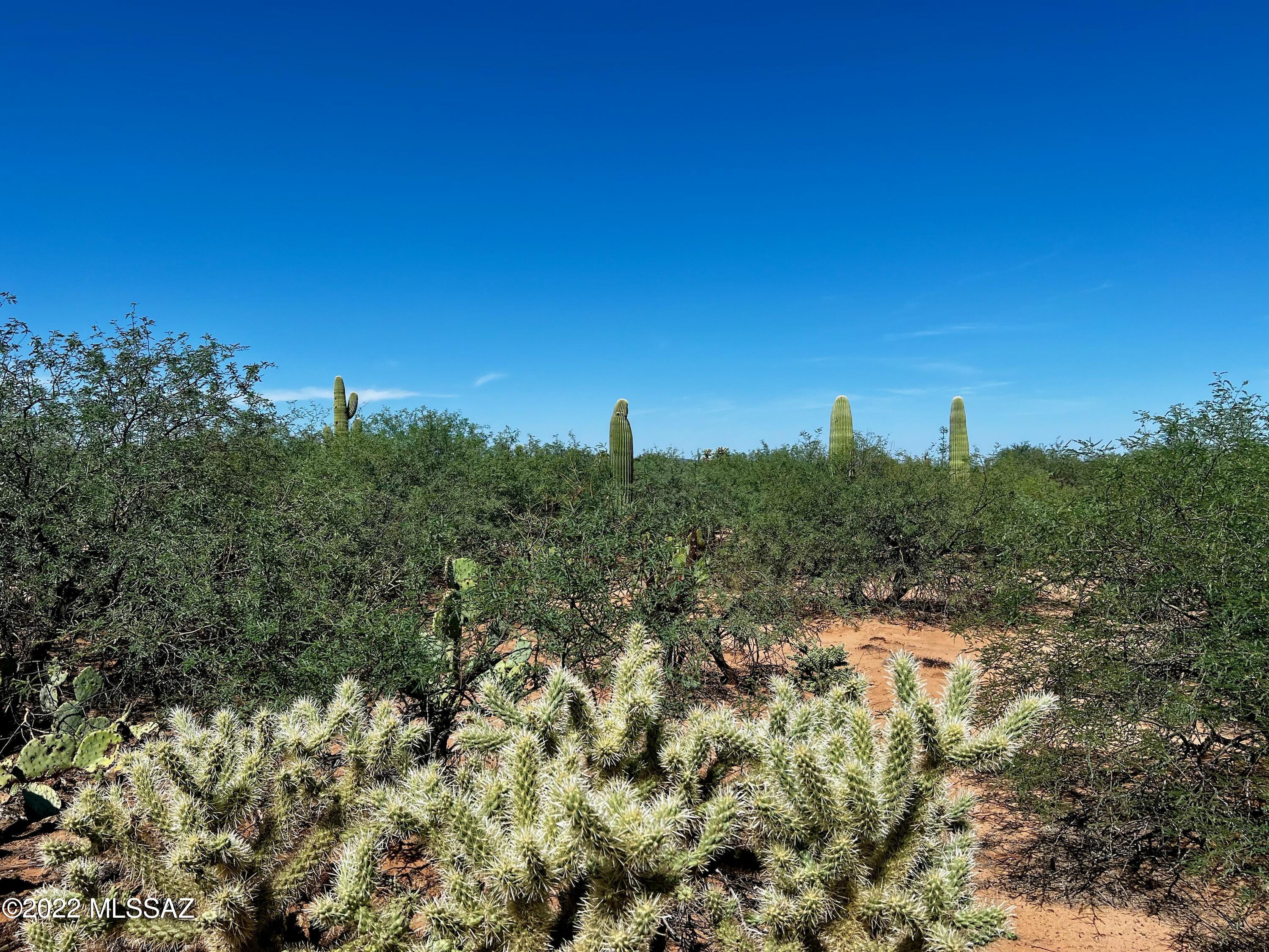 Beautiful serene land with fantastic mountain views. 10 minutes from shopping and highway. 5.1 acre lot has electric on site and 5 well shares. Build your dream home or parcel can be subdivided. Also available as a package with 4.1 acre parcel Tax code: 303-63-069D at a discounted price see MLS#22226256.