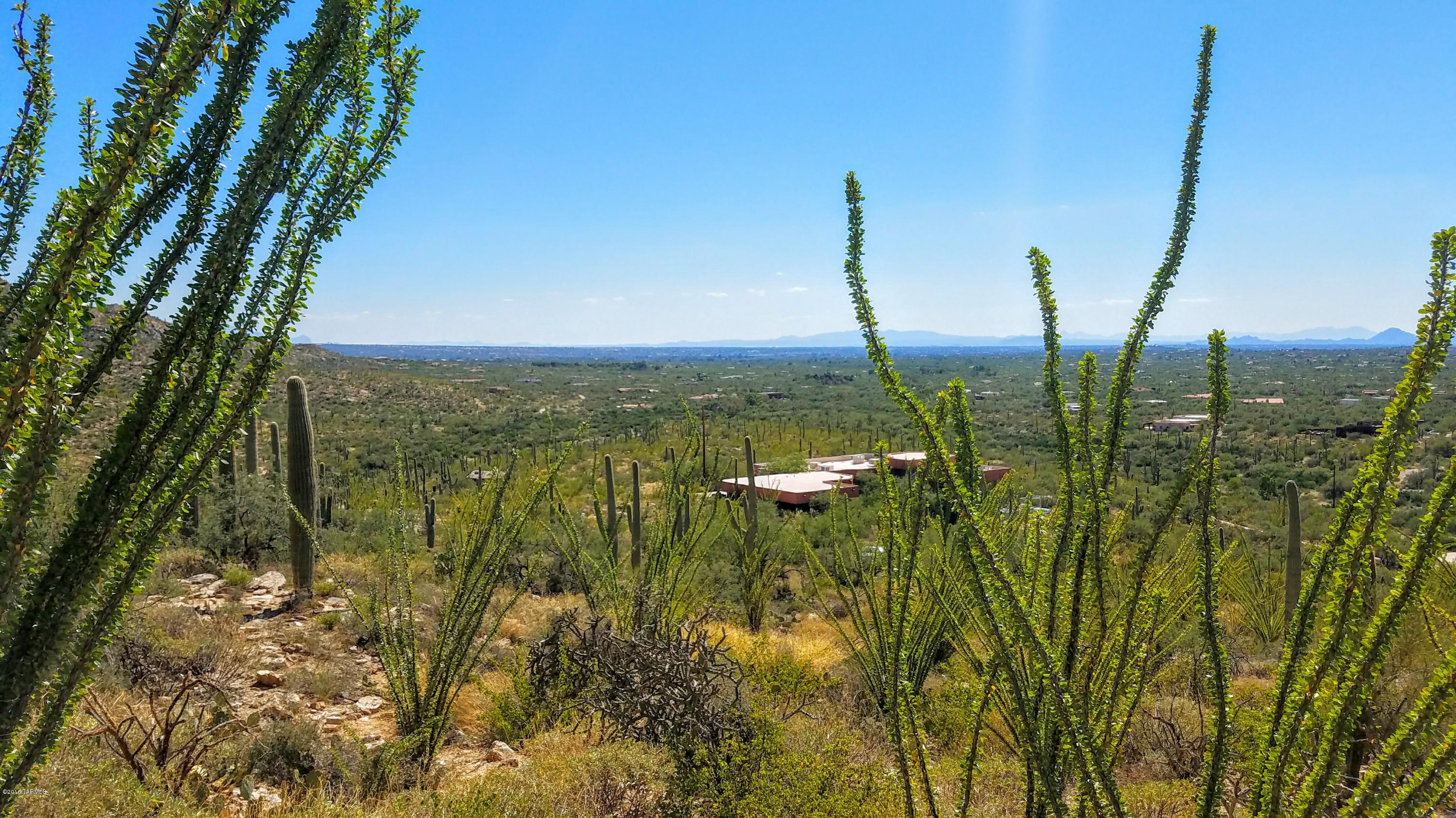 LOCATED AT THE EAST END OF HORSEHEAD RD. THROUGH TWO GATES. ONCE YOU'RE ONSITE, YOU'LL RECOGNIZE HOW TRULY UNIQUE THE SETTING AND THE VIEWS ARE BACK HERE. BORDERS PIMA COUNTY OPEN SPACE WHICH BORDERS THE CORONADO NATIONAL FOREST TO THE EAST. WELL IS DRILLED. PERC TESTS HAVE BEEN COMPLETED. Road is in good shape for a sedan. SERENITY NOW!