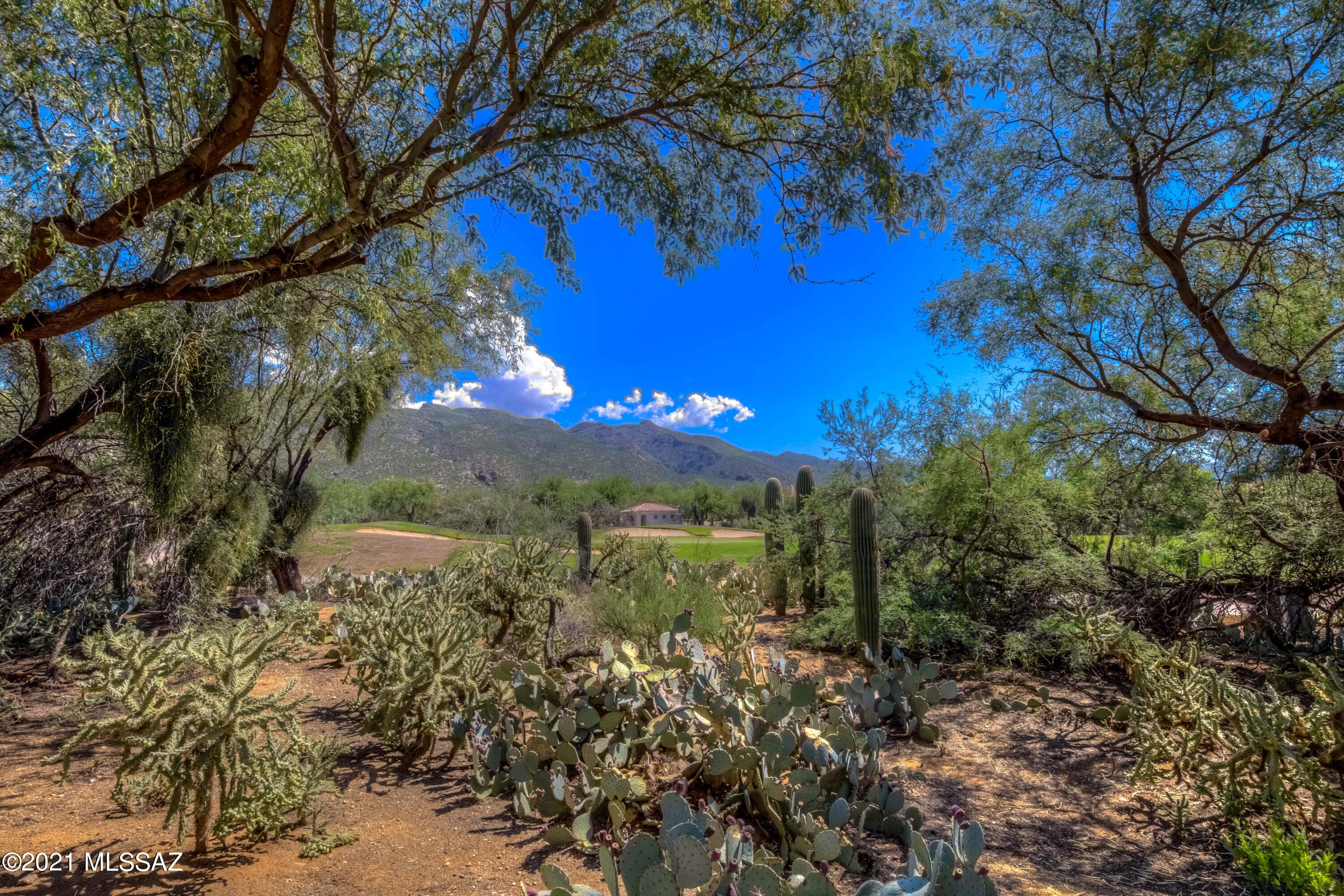 Sabino Springs (FINAL) - Residential