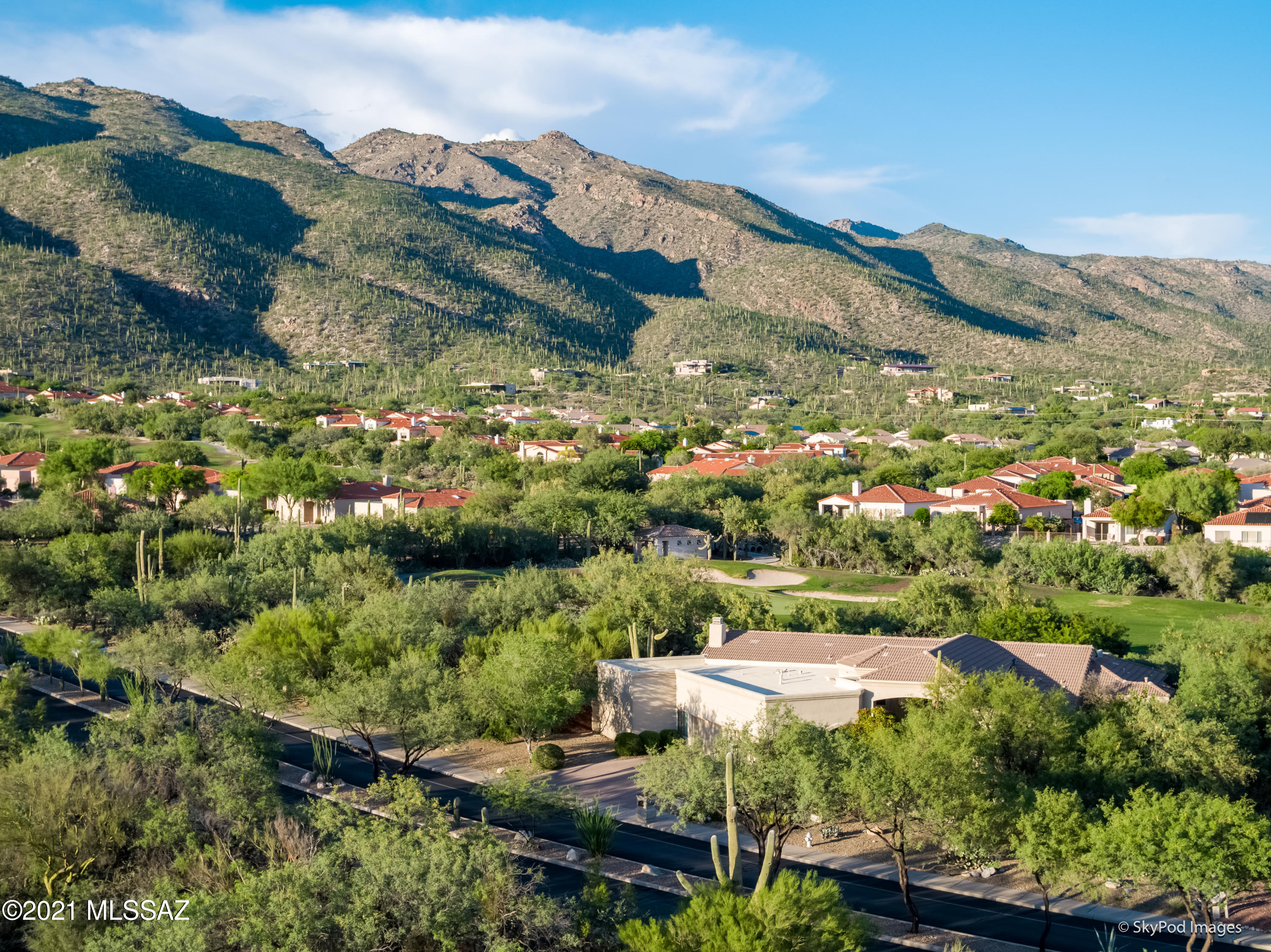Sabino Springs (FINAL) - Residential
