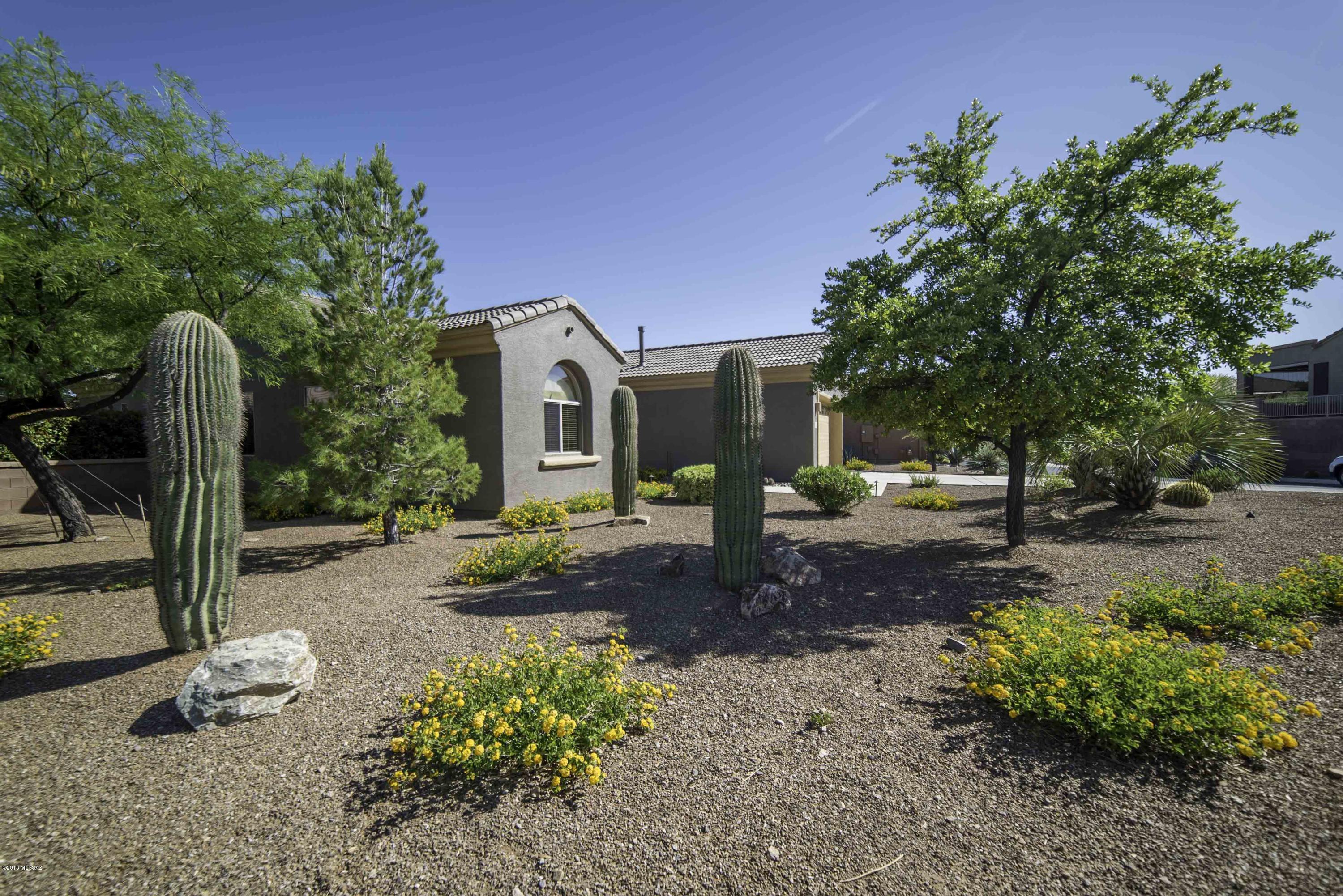 Canoa Ranch Blocks 19 & 20 - Residential