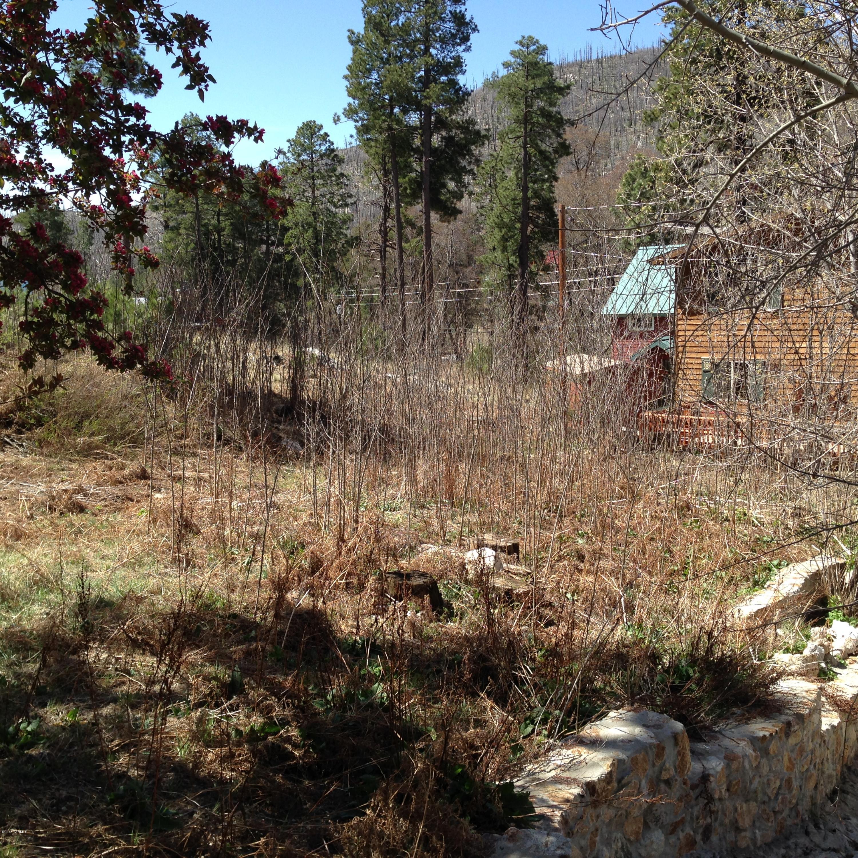 Enjoy a mountain oasis in the heart of Summerhaven. Flat lot, ready to be connected to the sewer at the lot line. And, ready-to-build with a creek on property. Short, easy walk to stores and restaurants. Year-round access on paved and plowed roads. All utilities run to property, which sits on the 'green' side of Summerhaven. Beautiful views from town to treetops! Adjacent lot #12 also available.